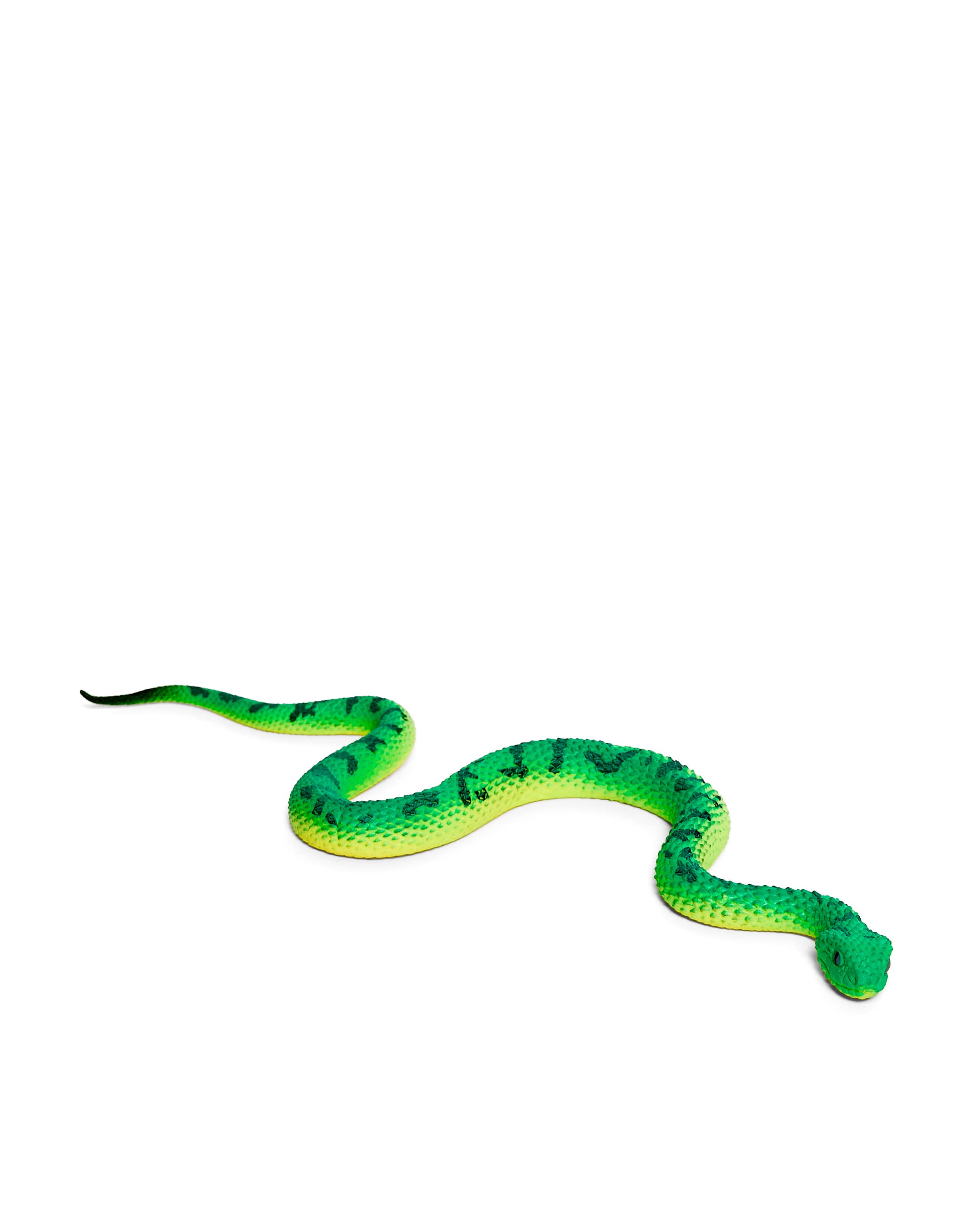 SNAKE