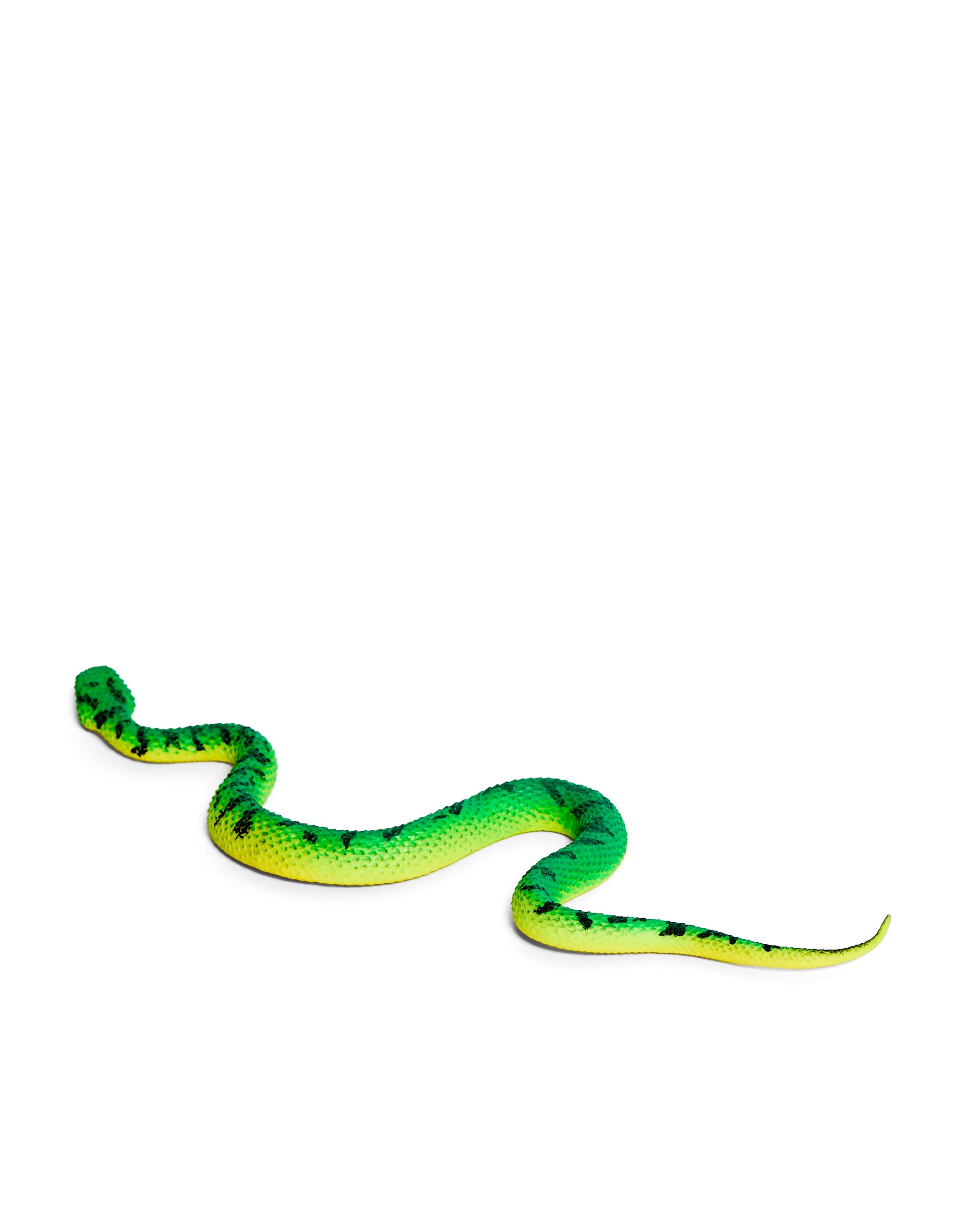 SNAKE thumbnail 2