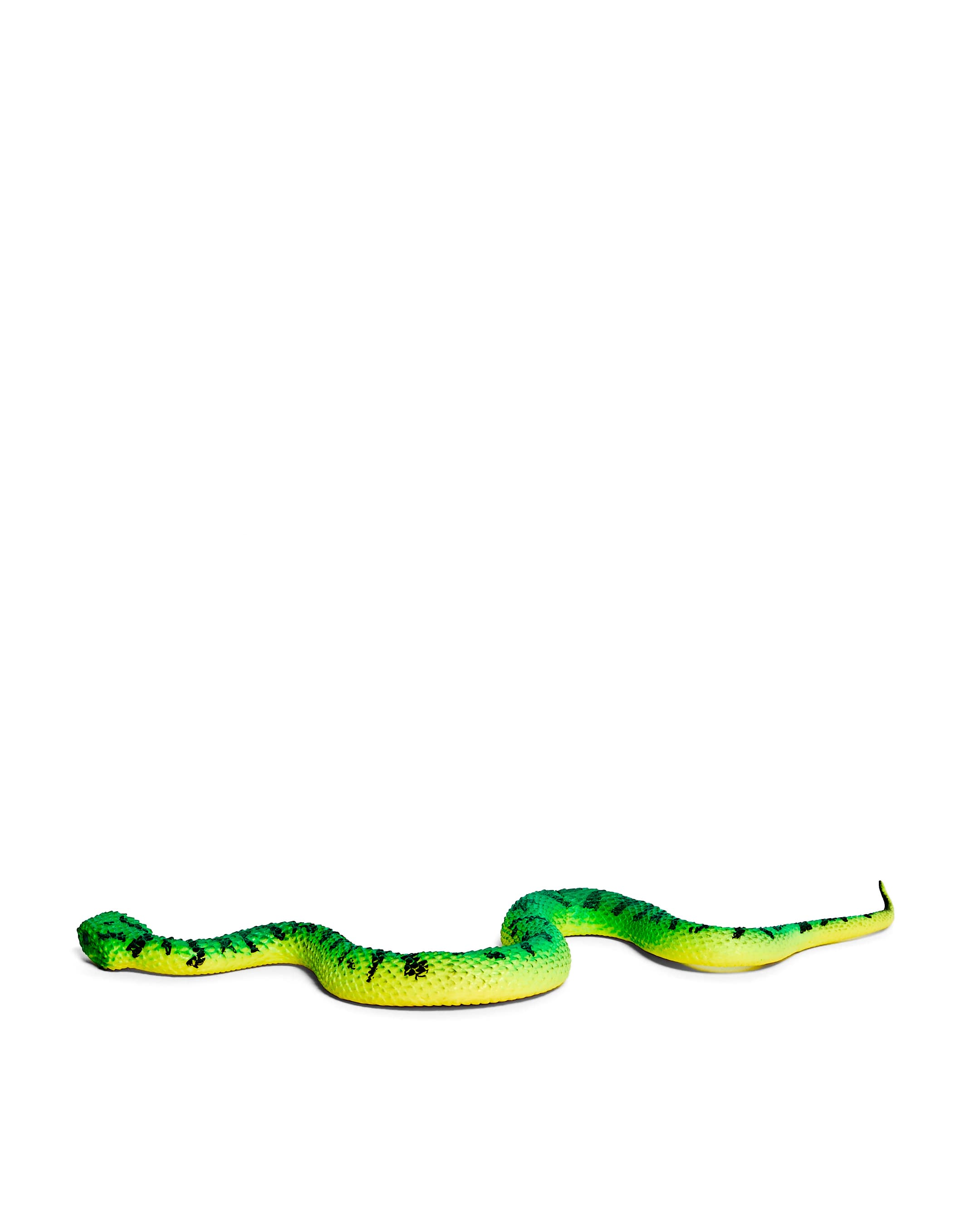 SNAKE thumbnail 3