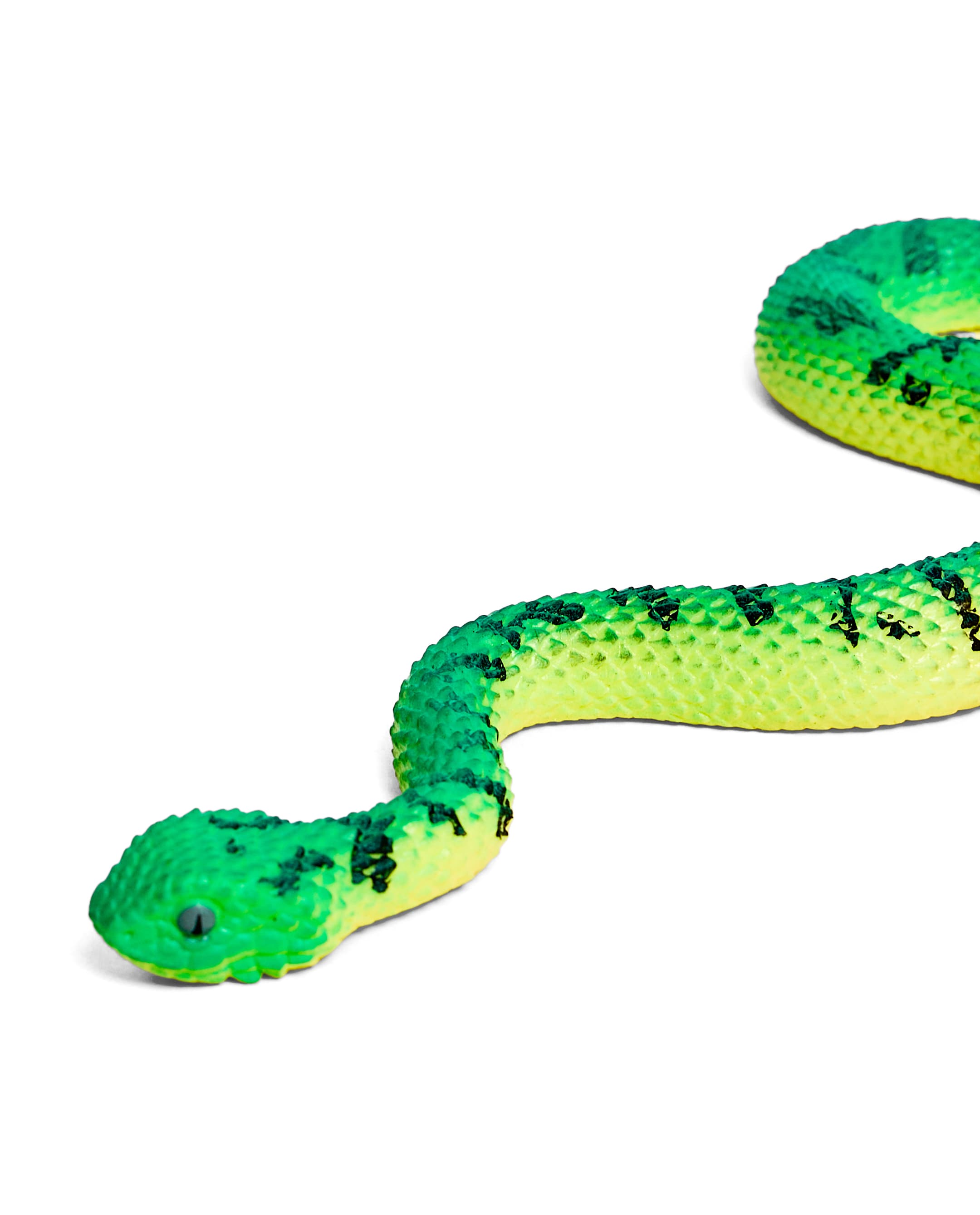 SNAKE thumbnail 4