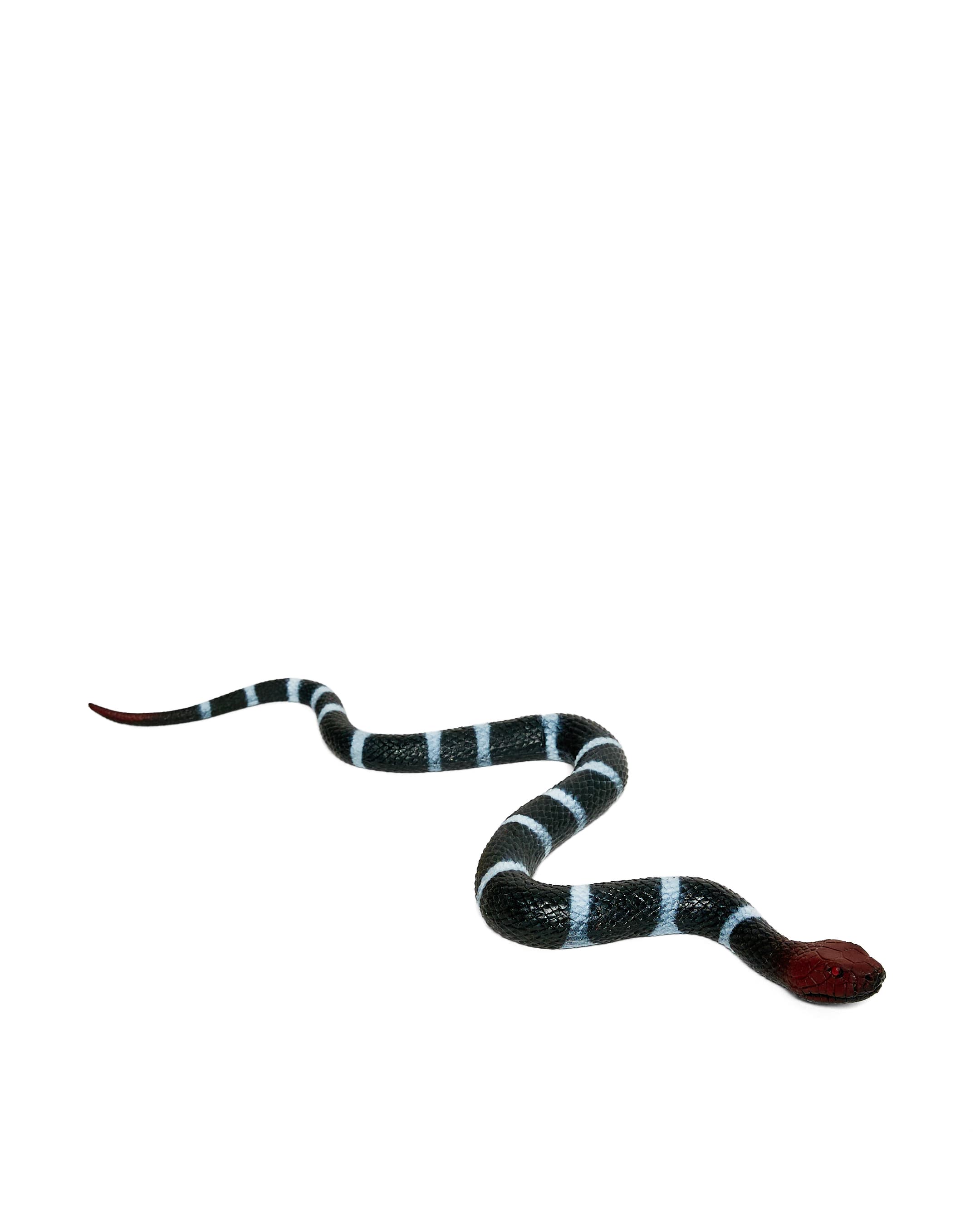 SNAKE