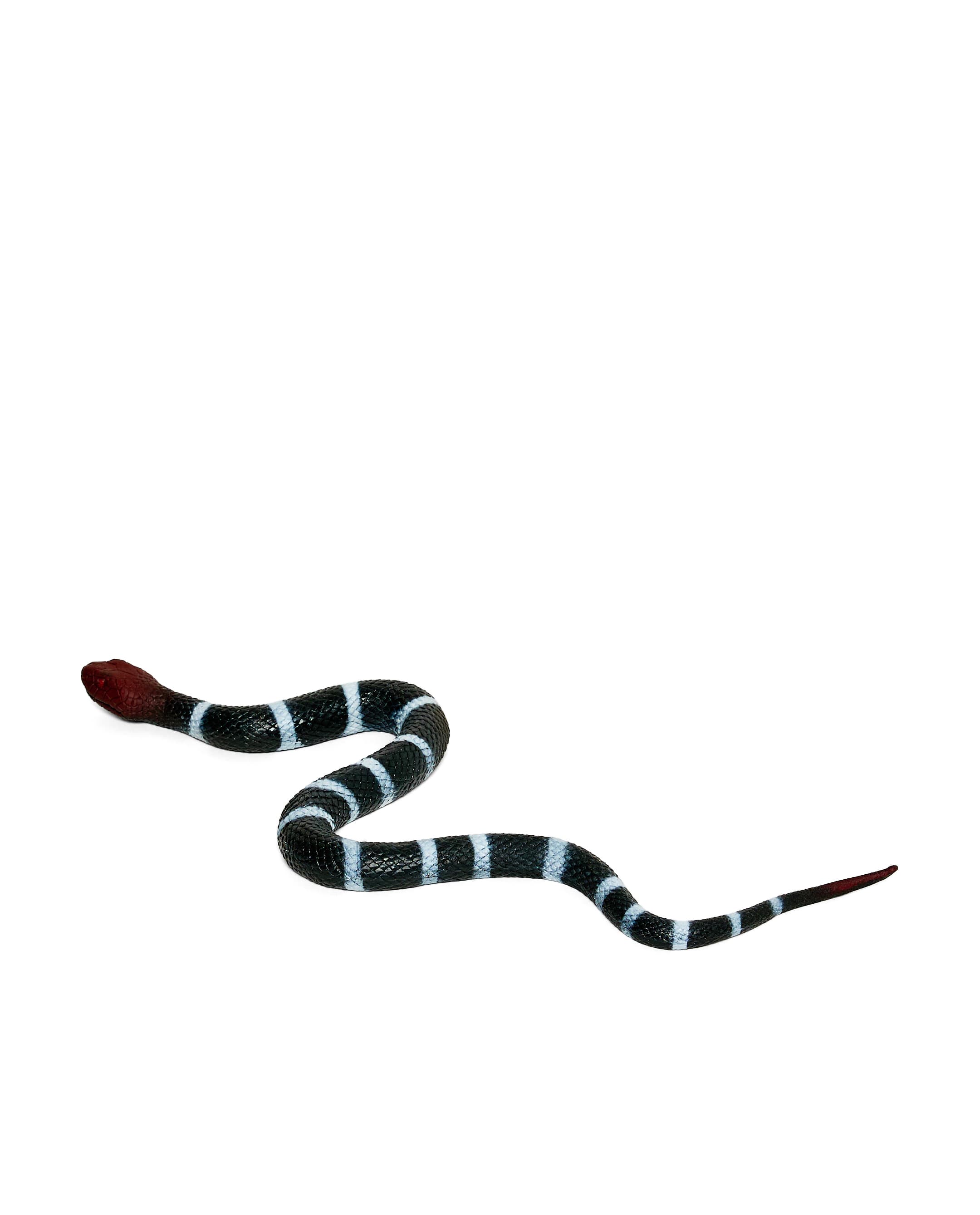SNAKE thumbnail 2
