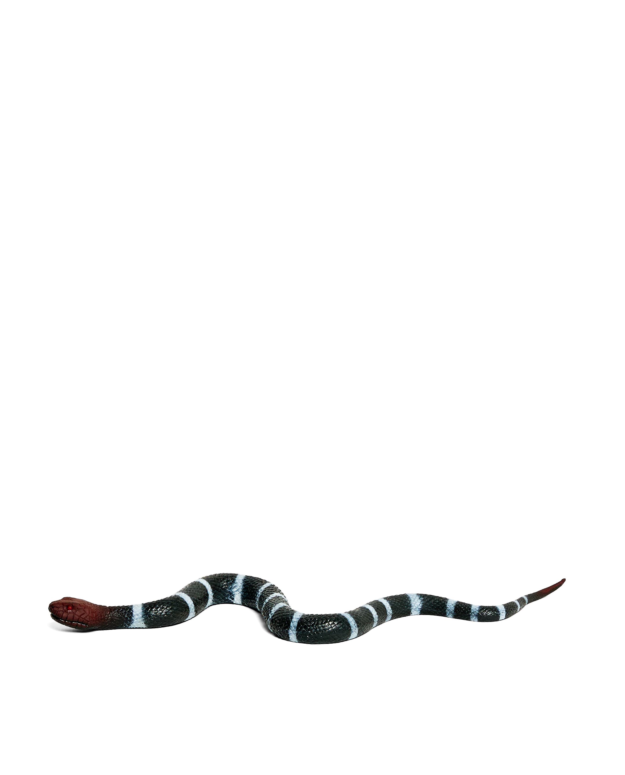 SNAKE thumbnail 3