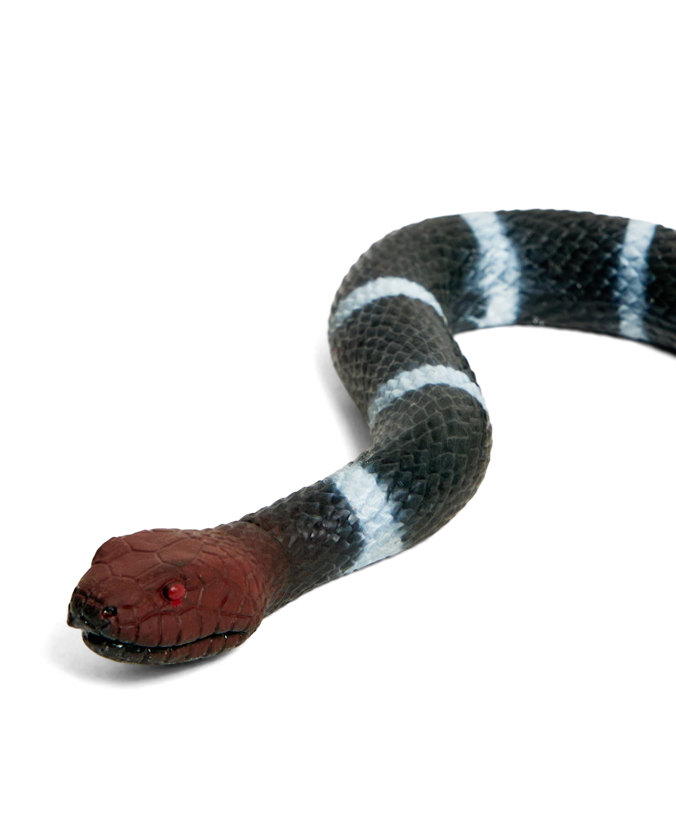 SNAKE thumbnail 4