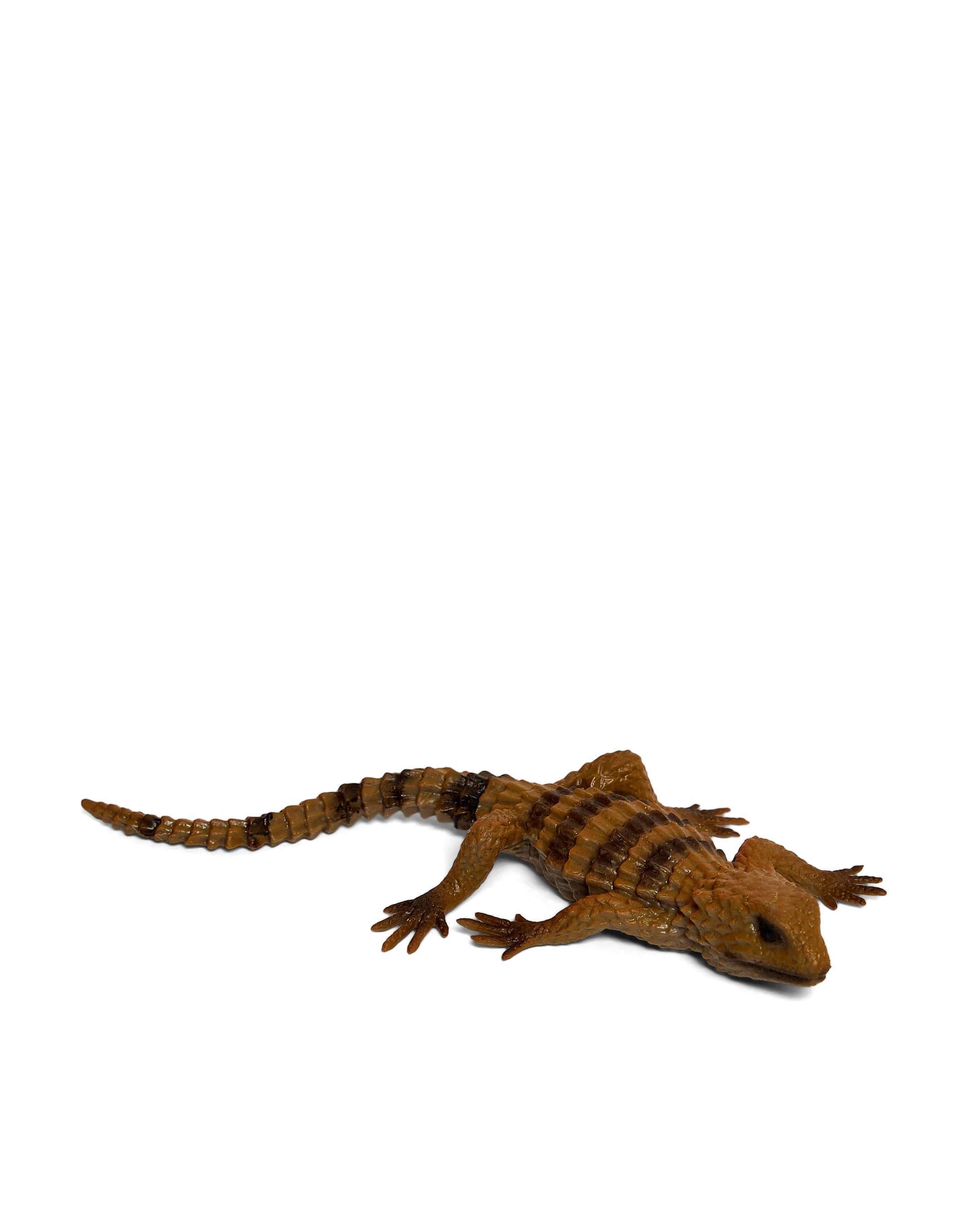 LIZARD