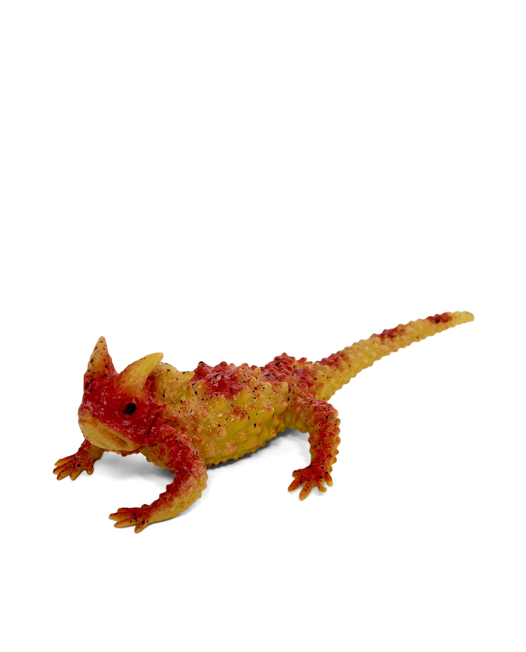 LIZARD