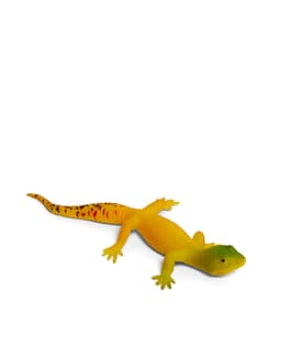 LIZARD