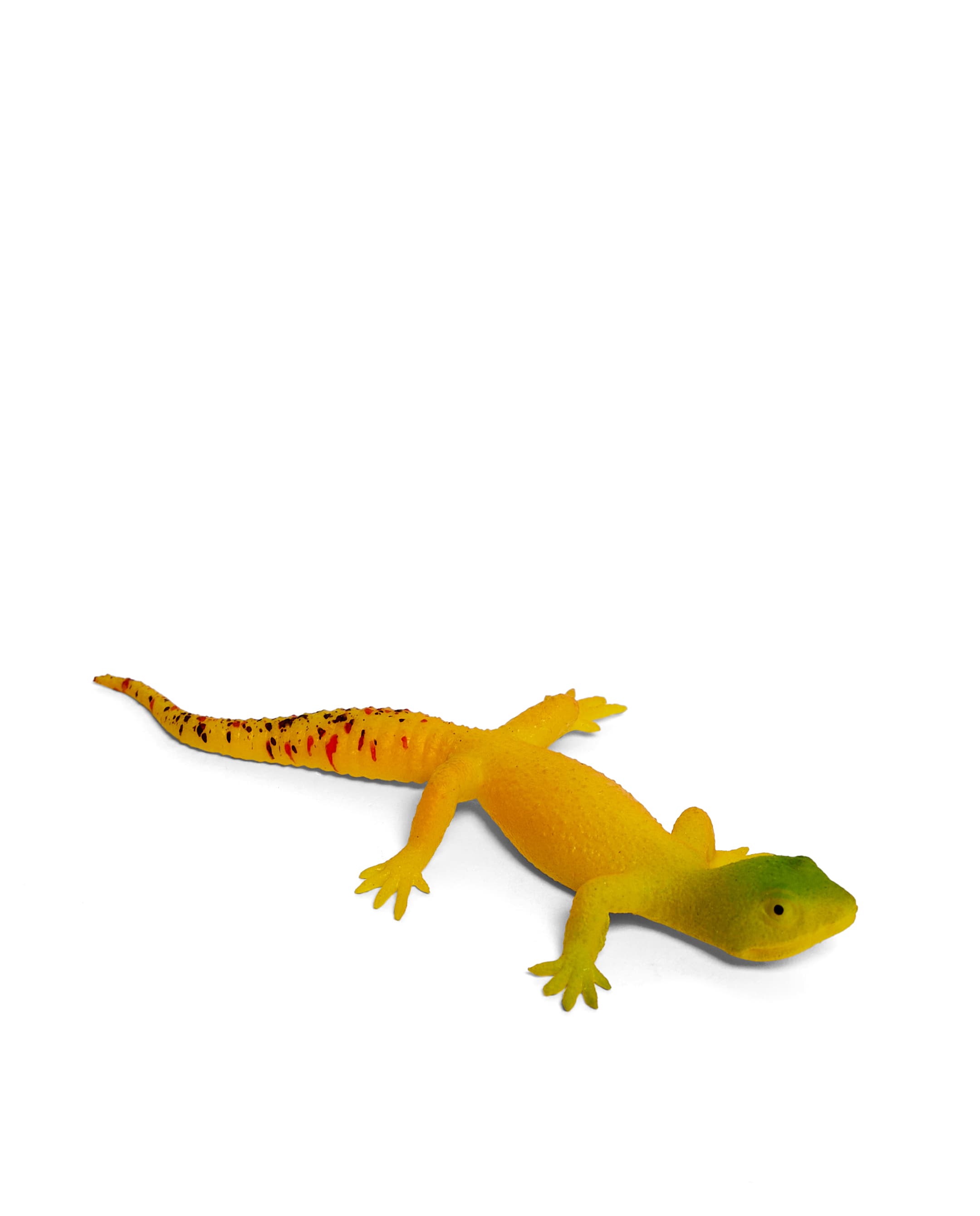LIZARD
