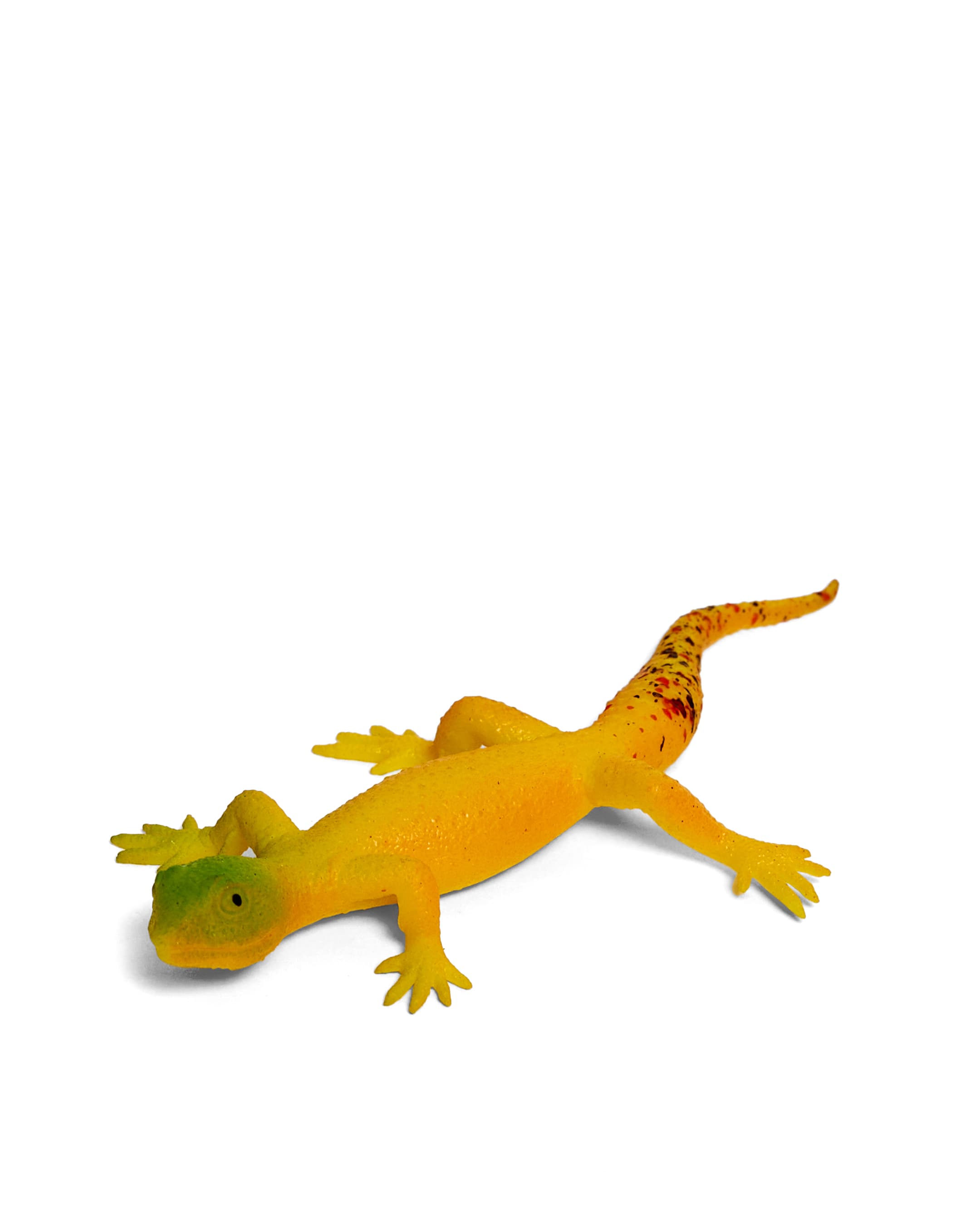LIZARD thumbnail 2