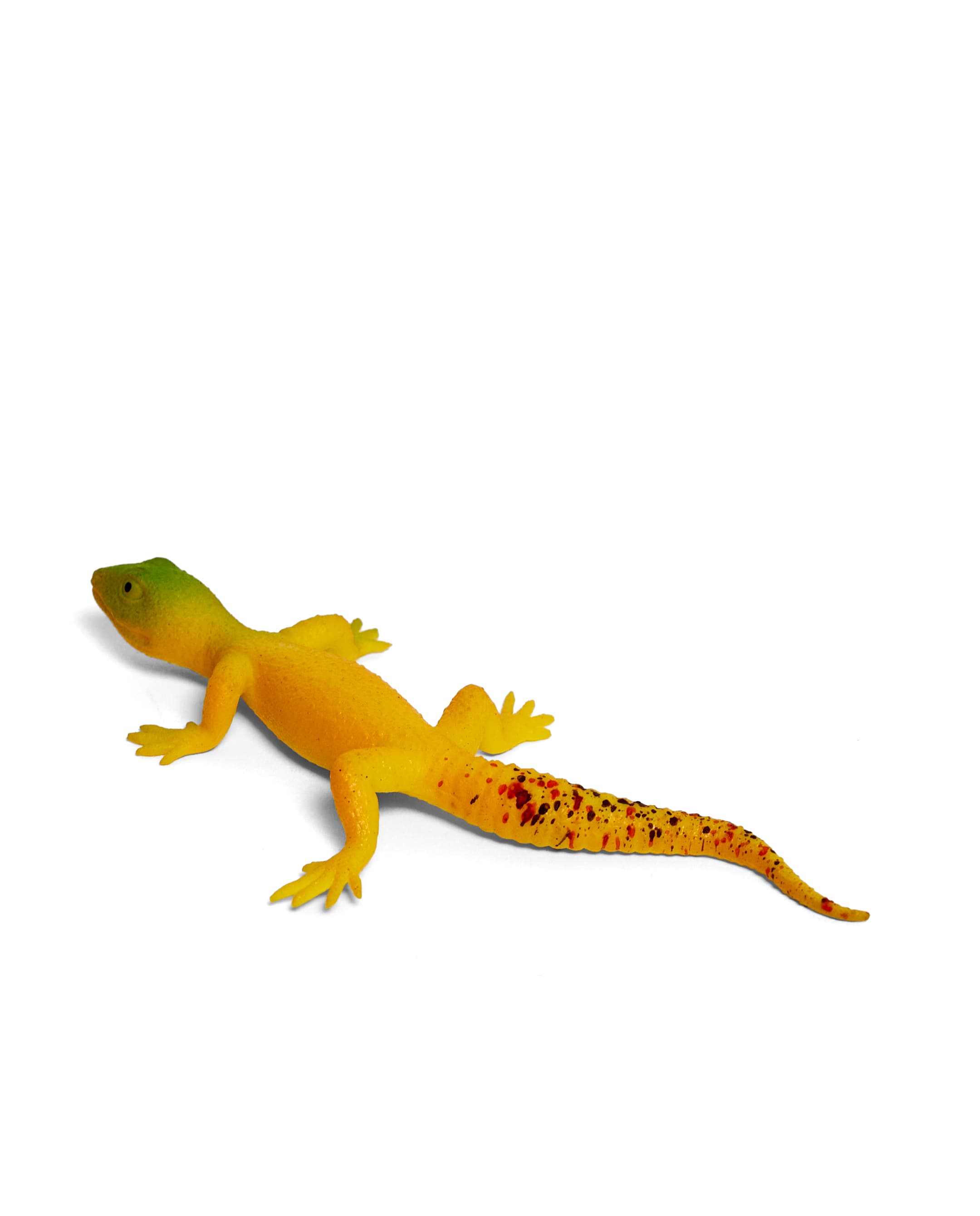 LIZARD thumbnail 3