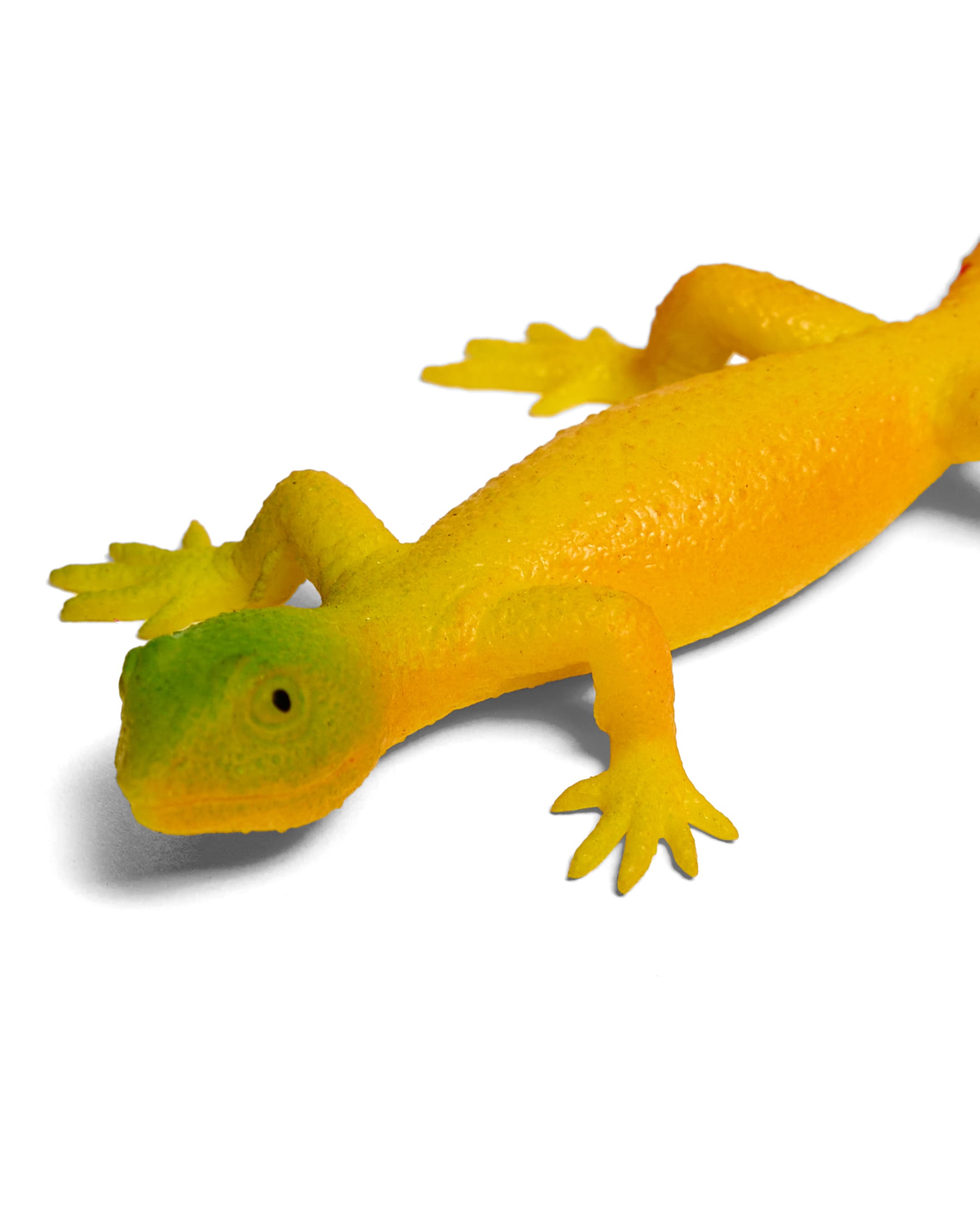 LIZARD thumbnail 4