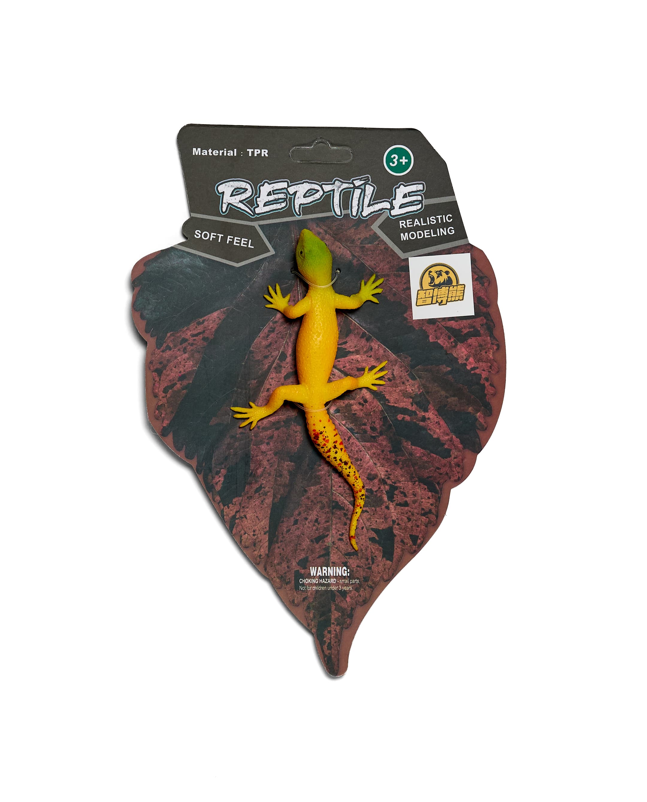 LIZARD thumbnail 5