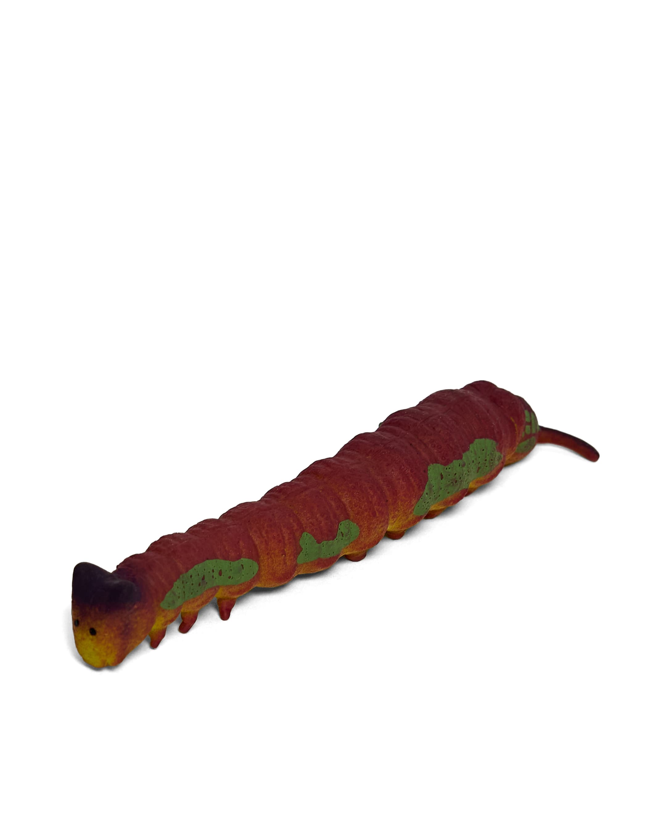 MOTH thumbnail 2