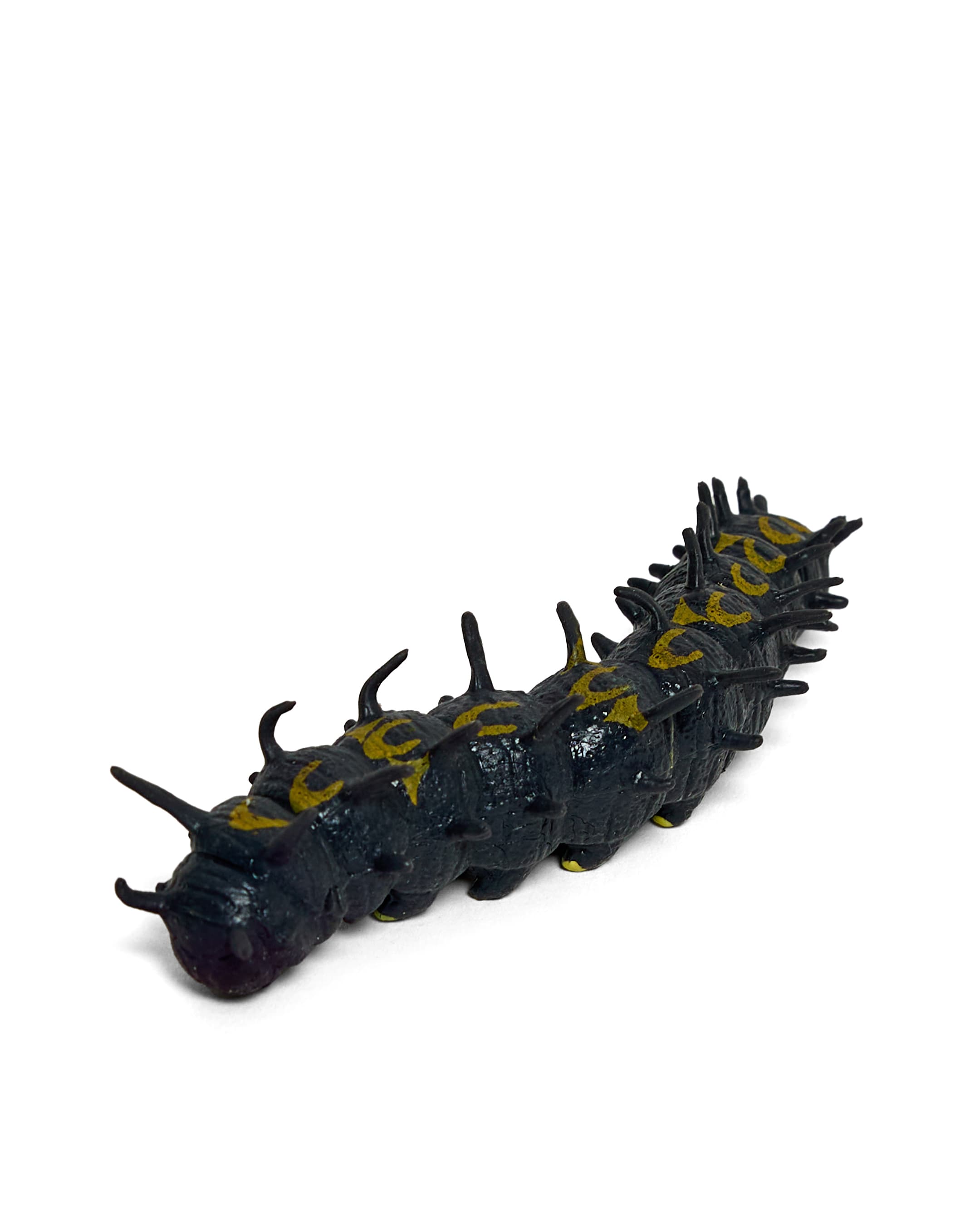 MOTH thumbnail 2