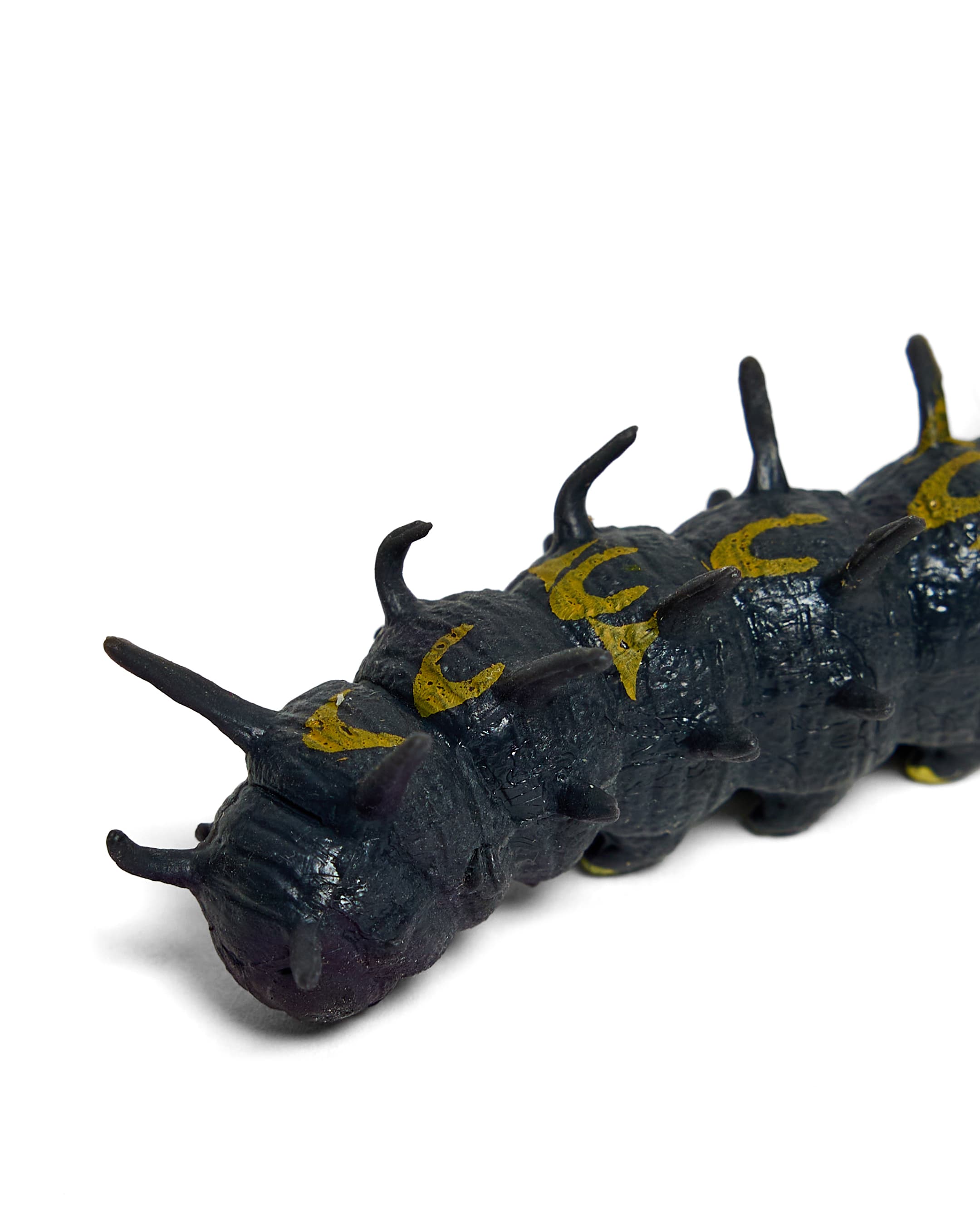 MOTH thumbnail 4