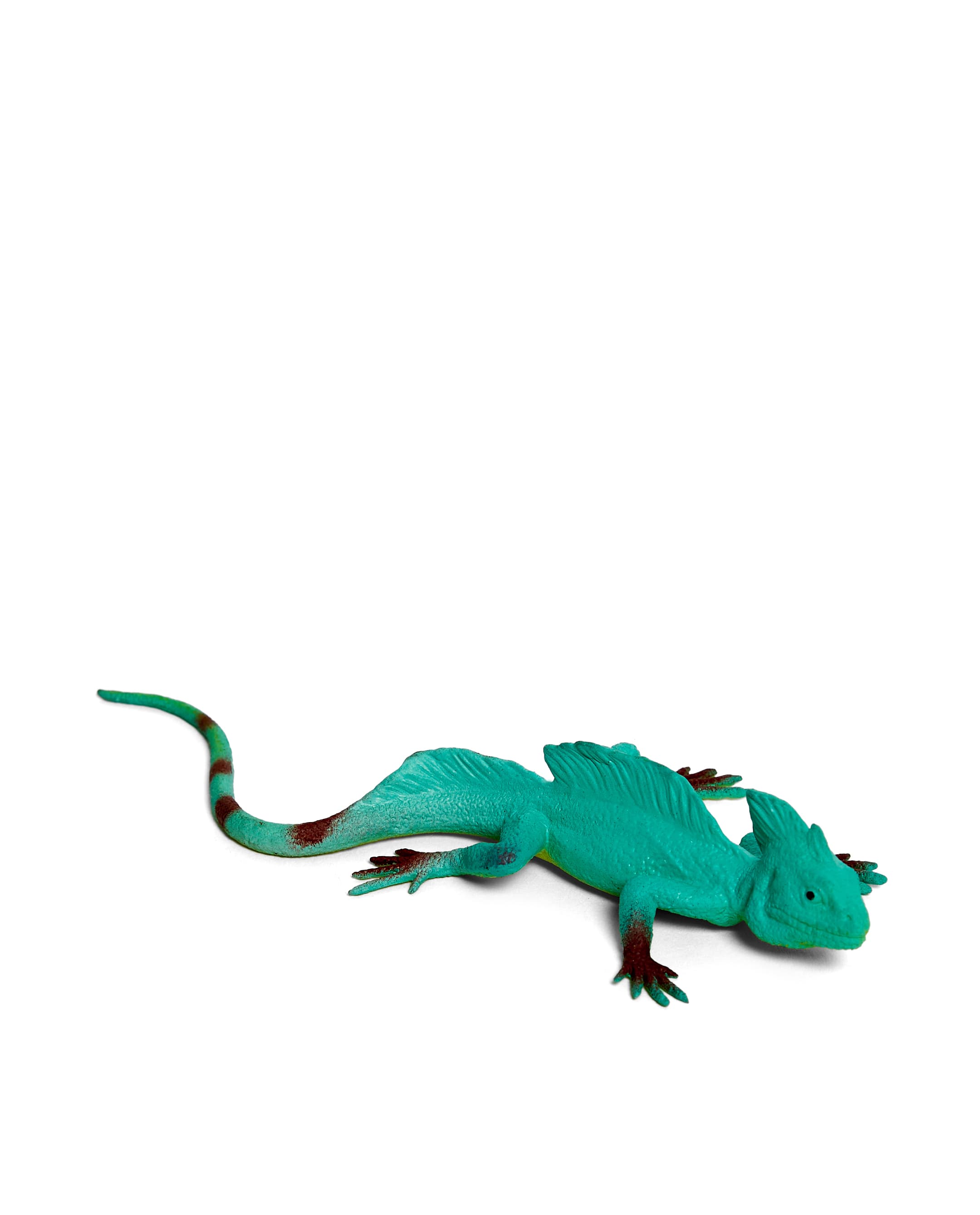 LIZARD