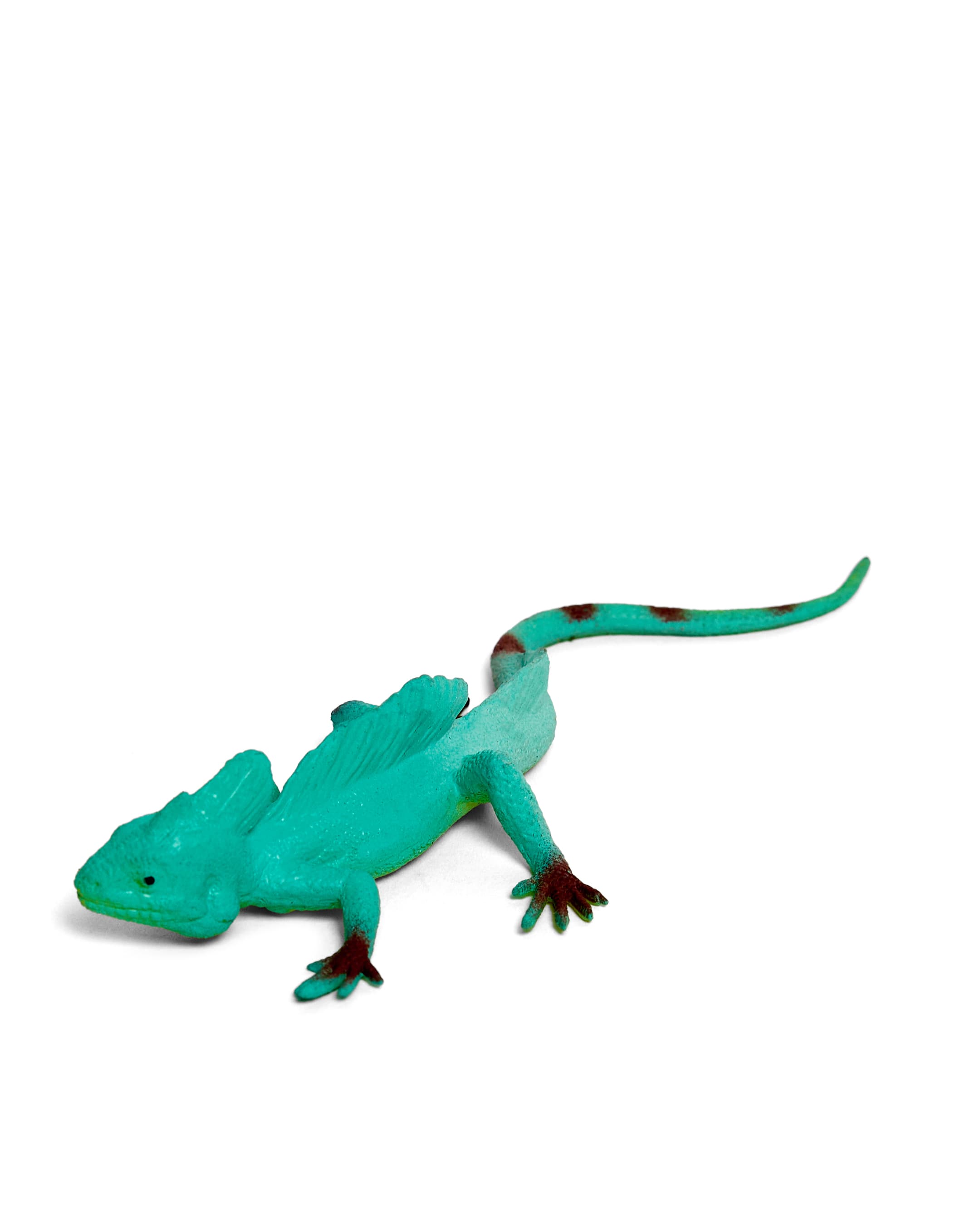 LIZARD thumbnail 2