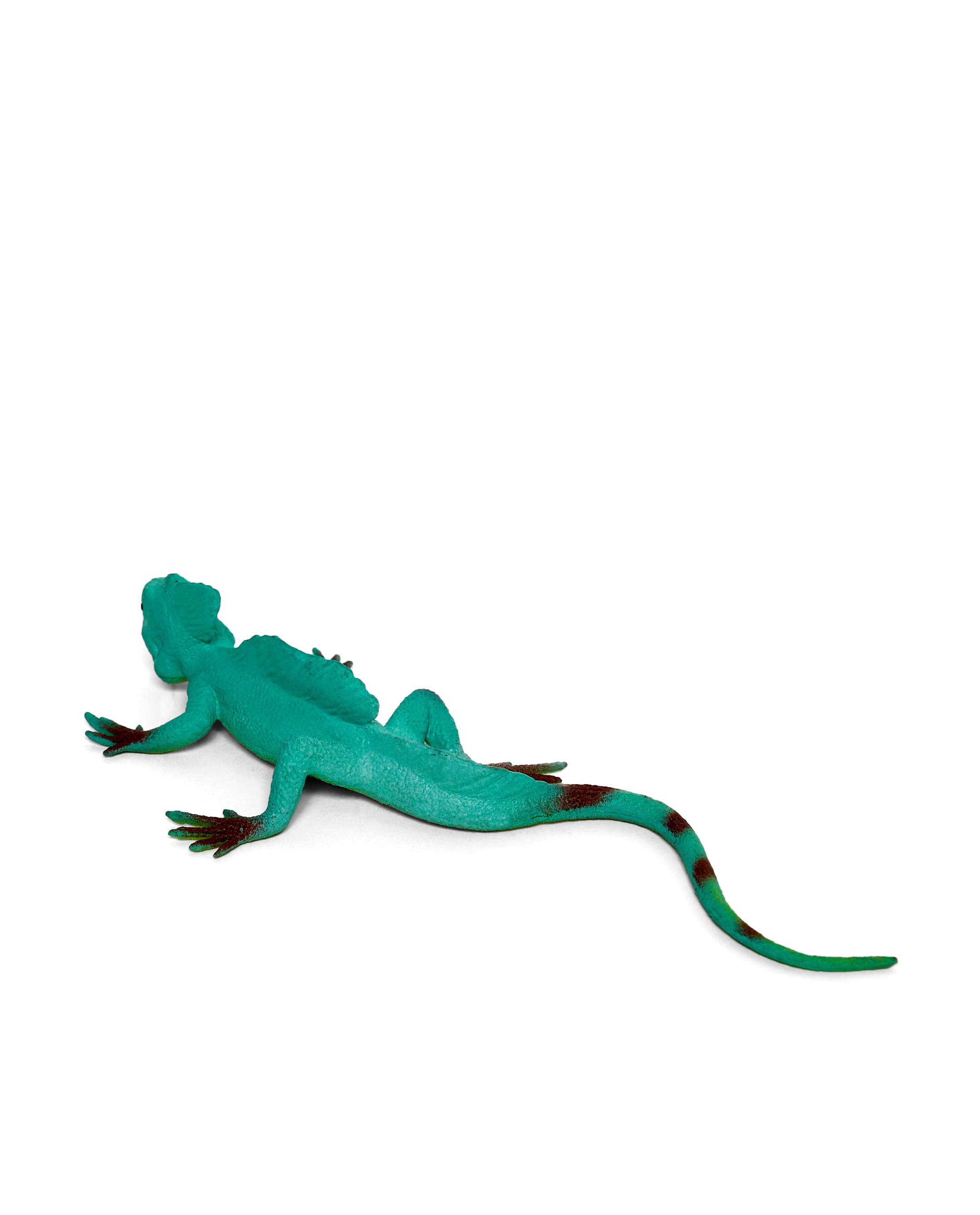 LIZARD thumbnail 3