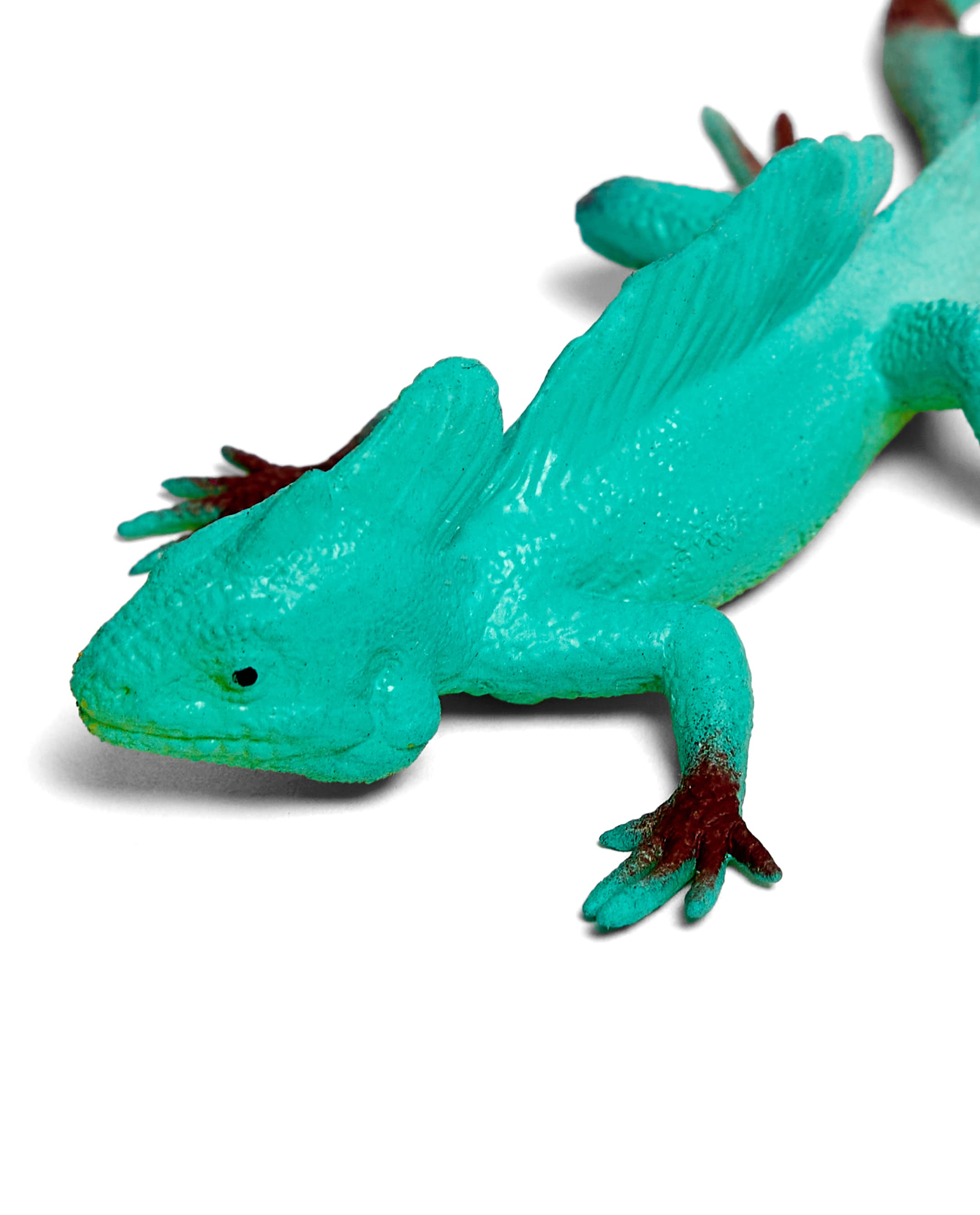 LIZARD thumbnail 4