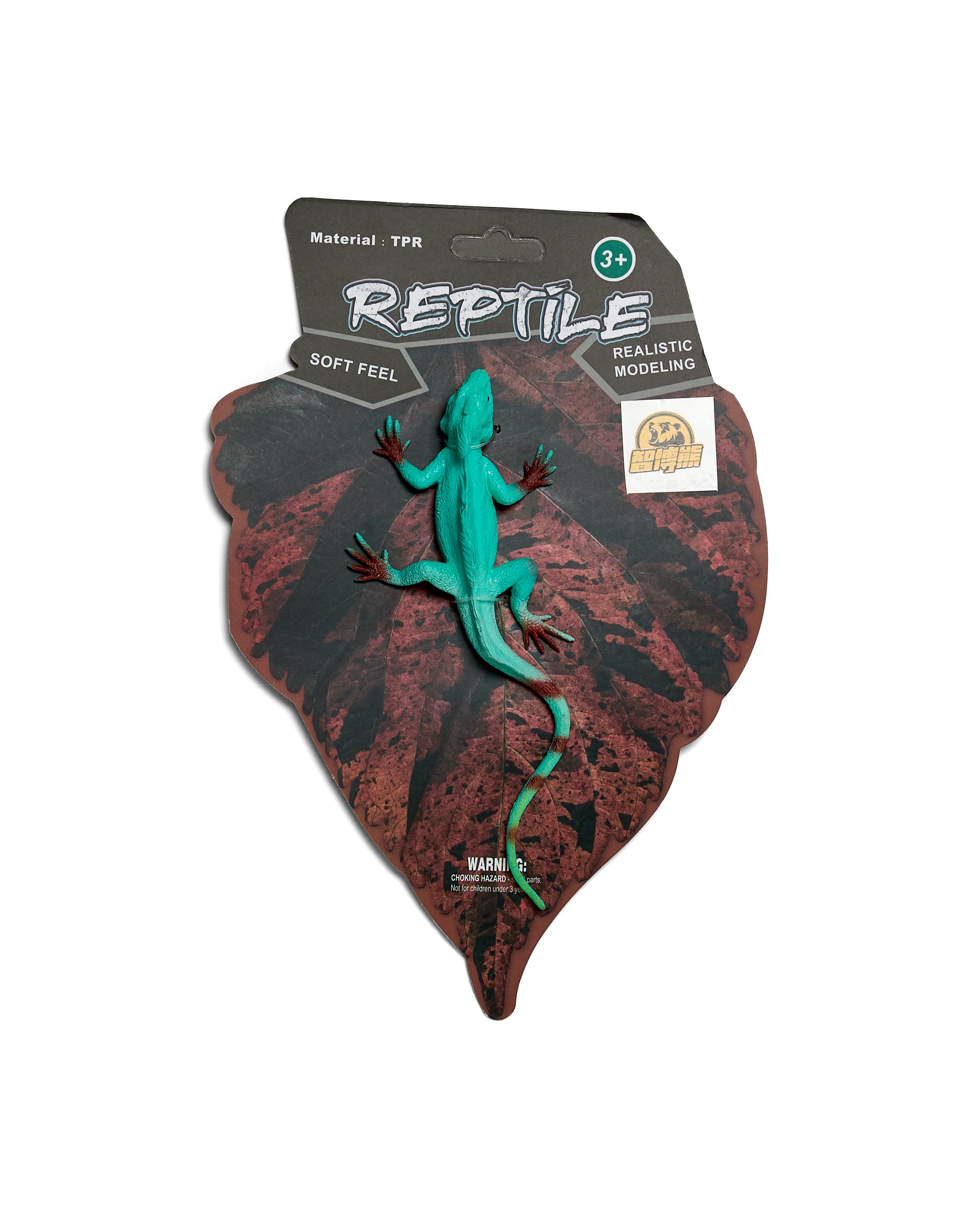 LIZARD thumbnail 5