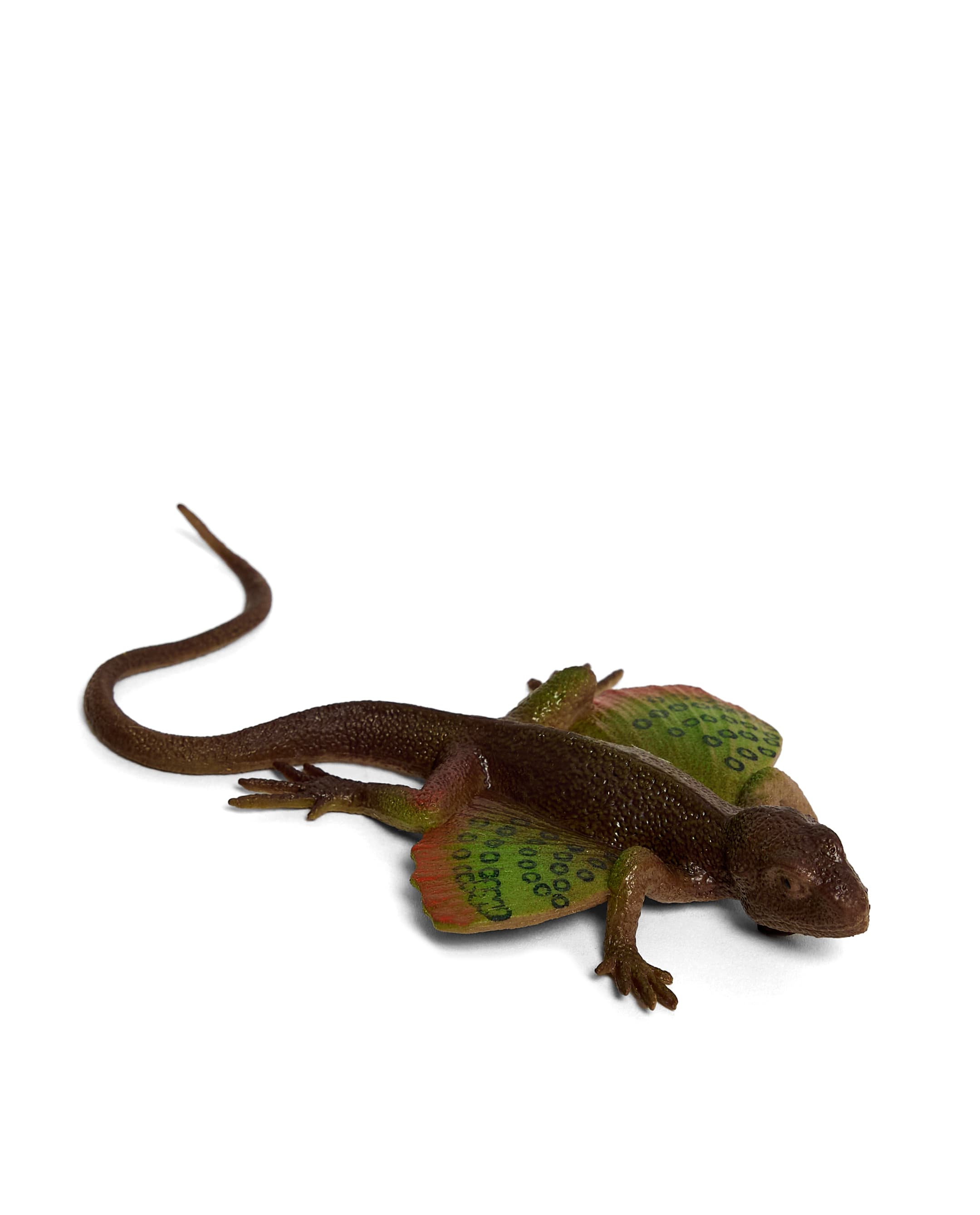 LIZARD