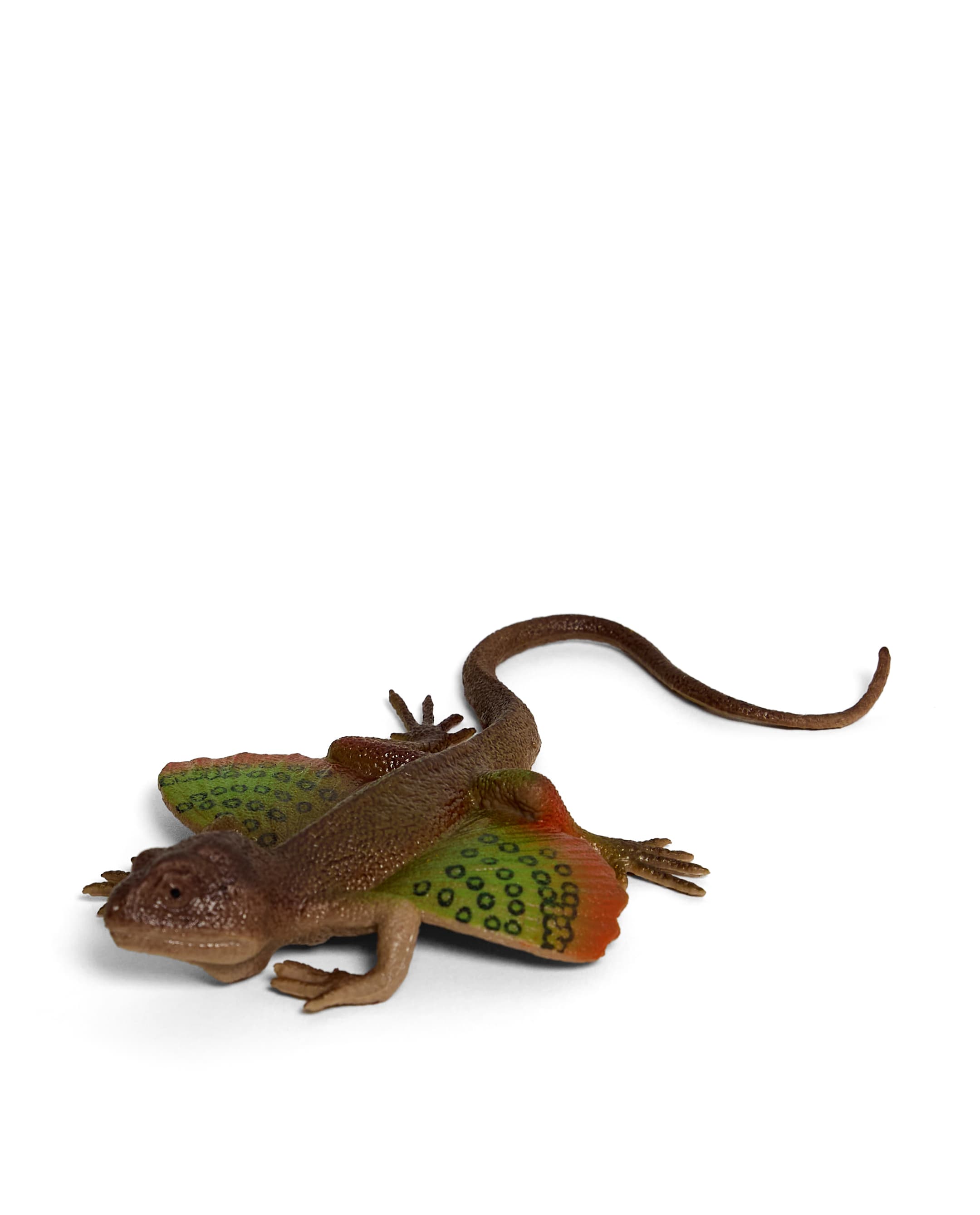 LIZARD thumbnail 2