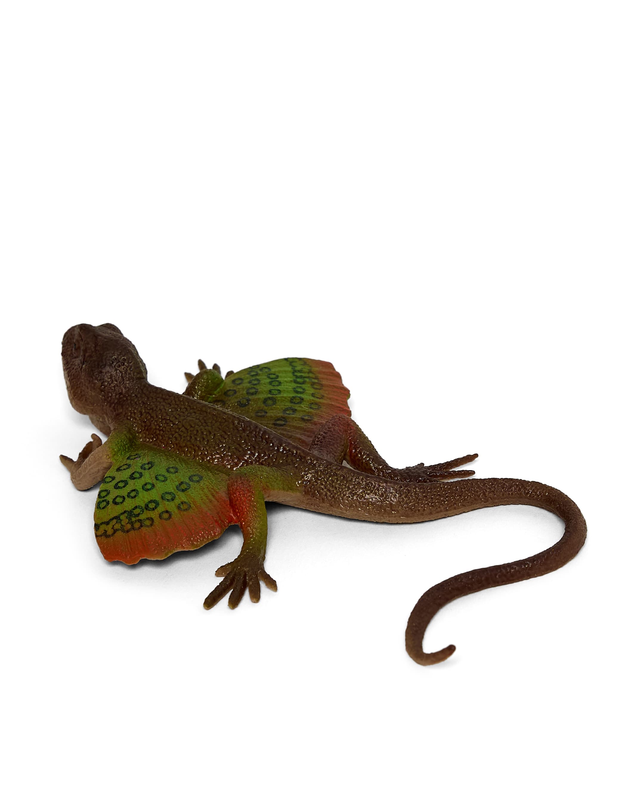 LIZARD thumbnail 3