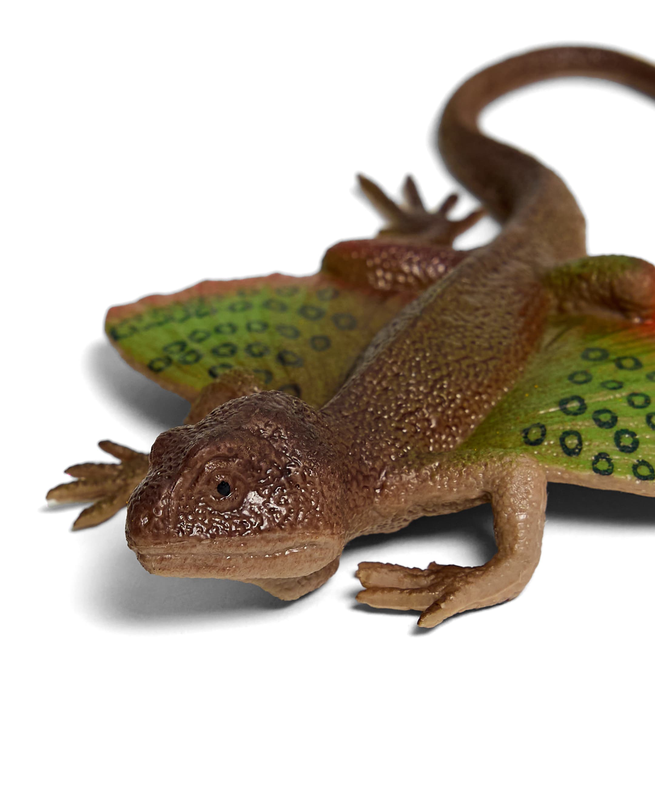 LIZARD thumbnail 4