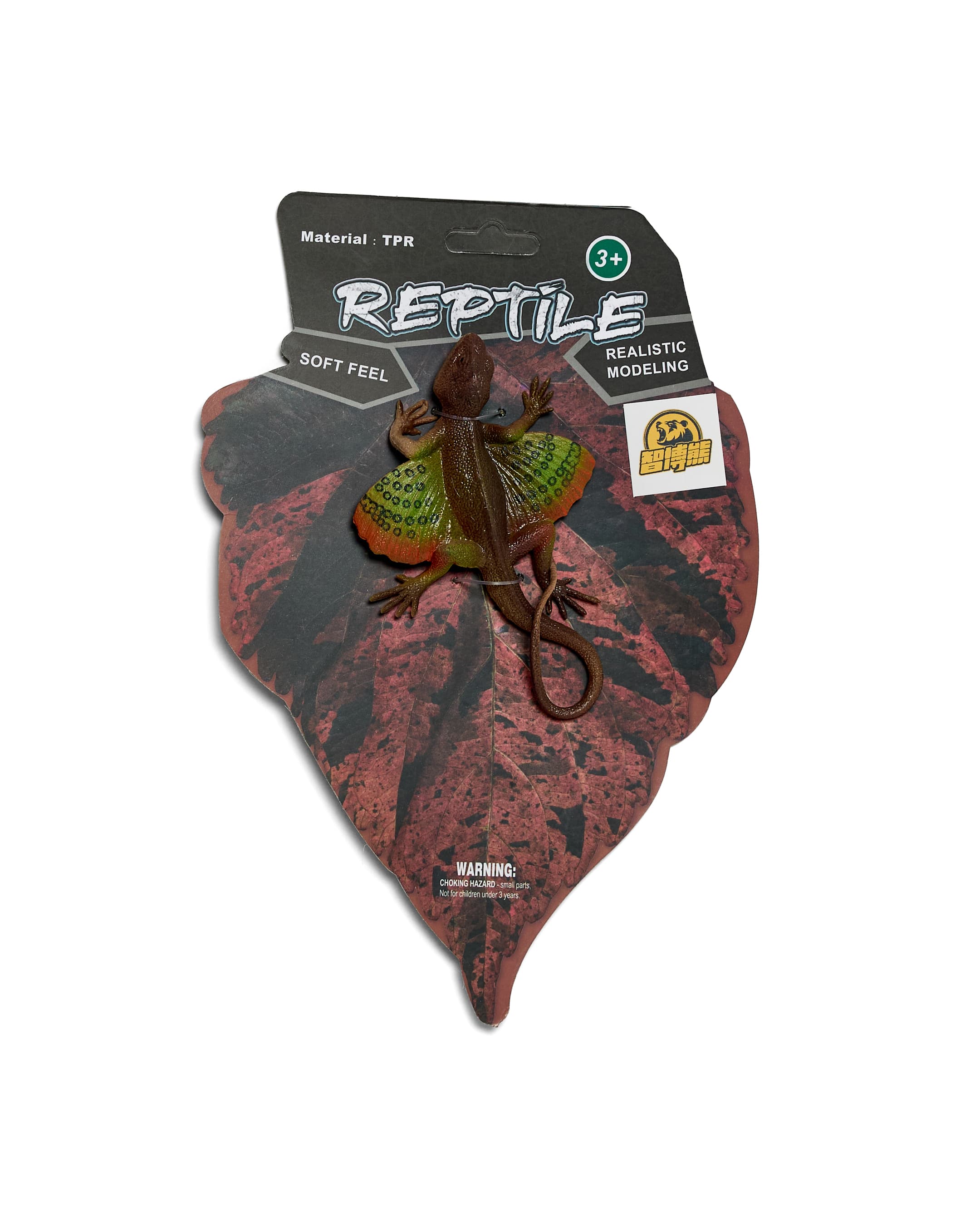 LIZARD thumbnail 5