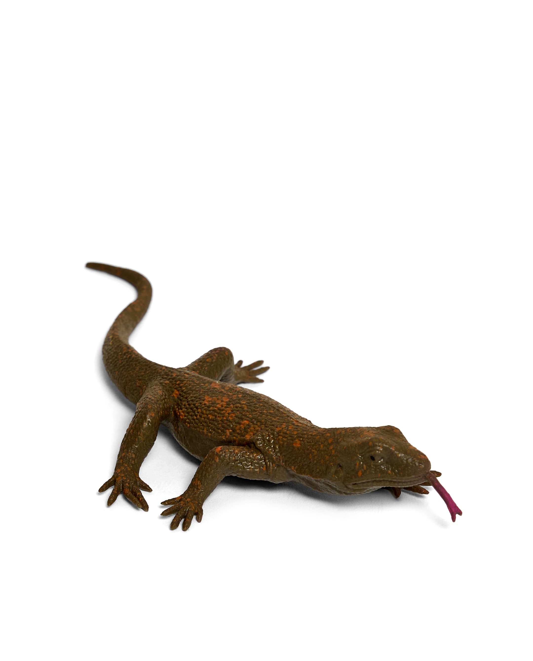 LIZARD