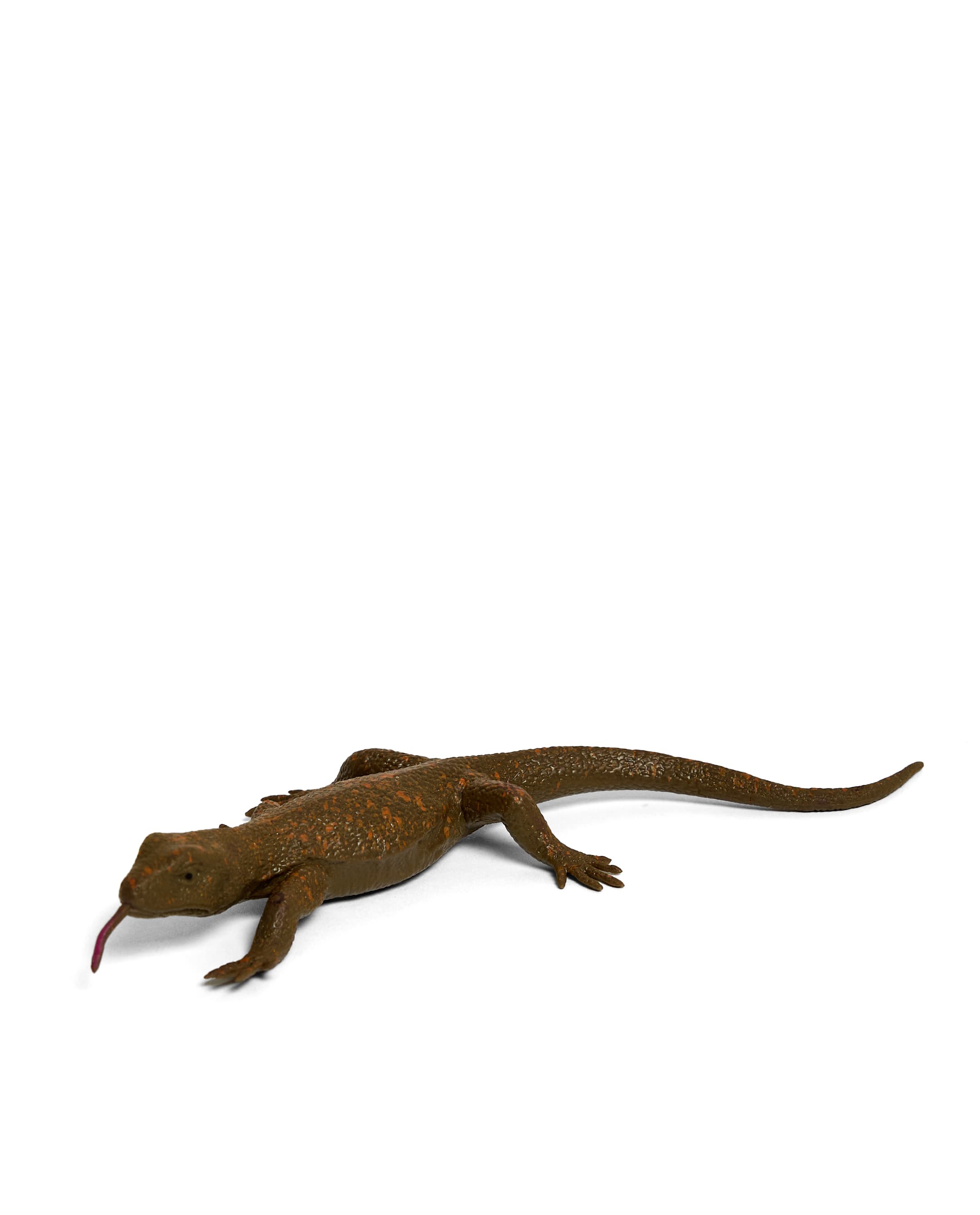 LIZARD thumbnail 2