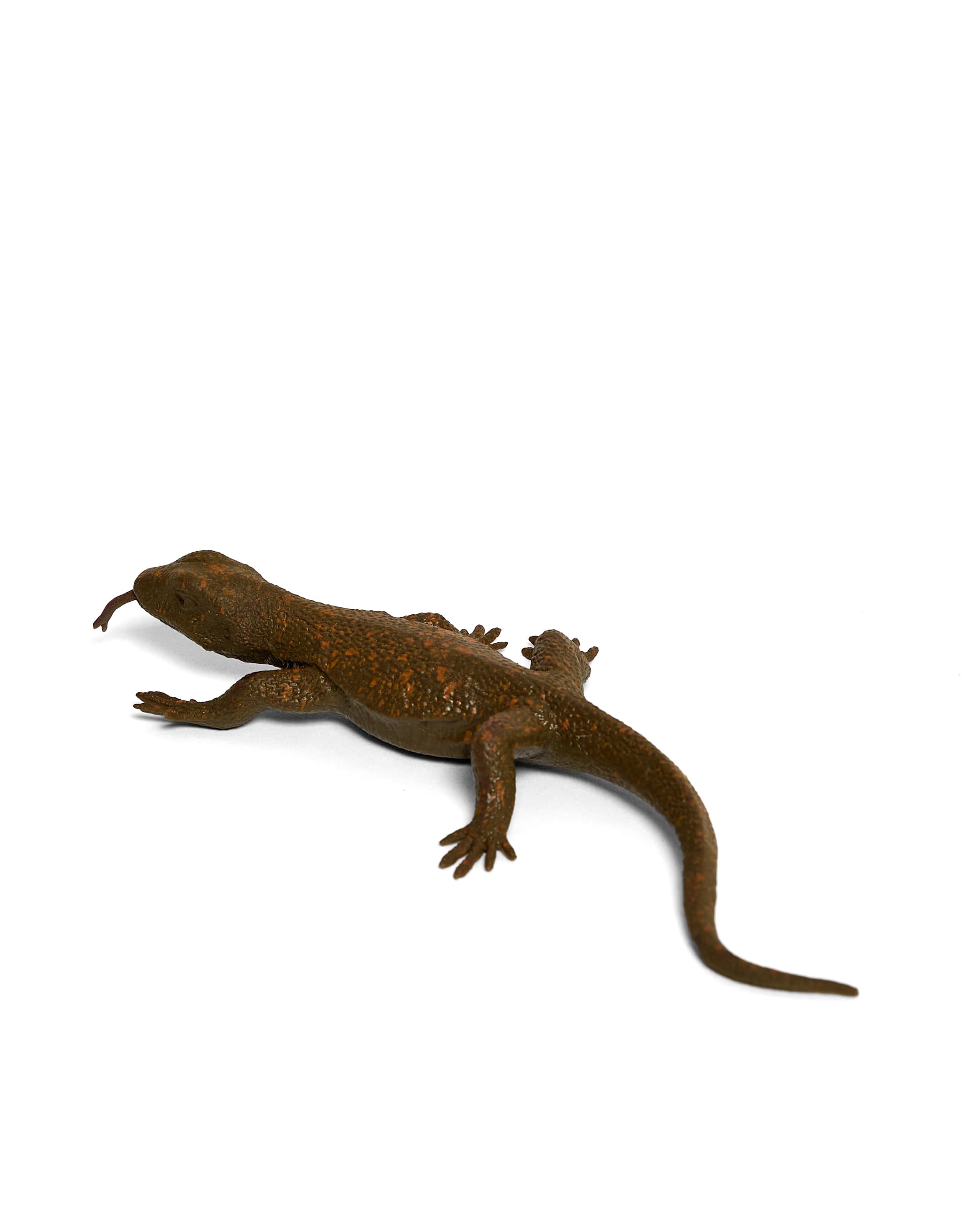 LIZARD thumbnail 3