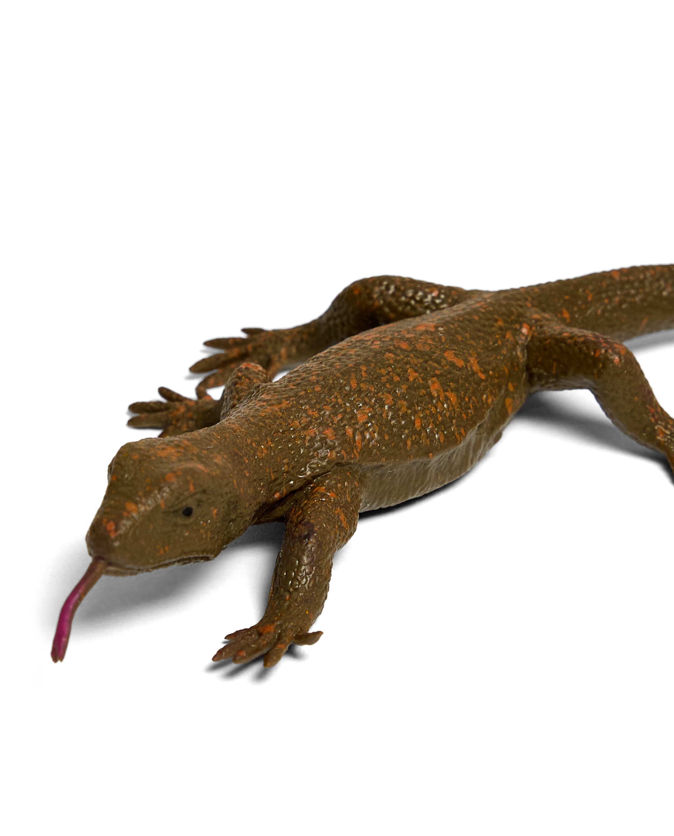LIZARD thumbnail 4