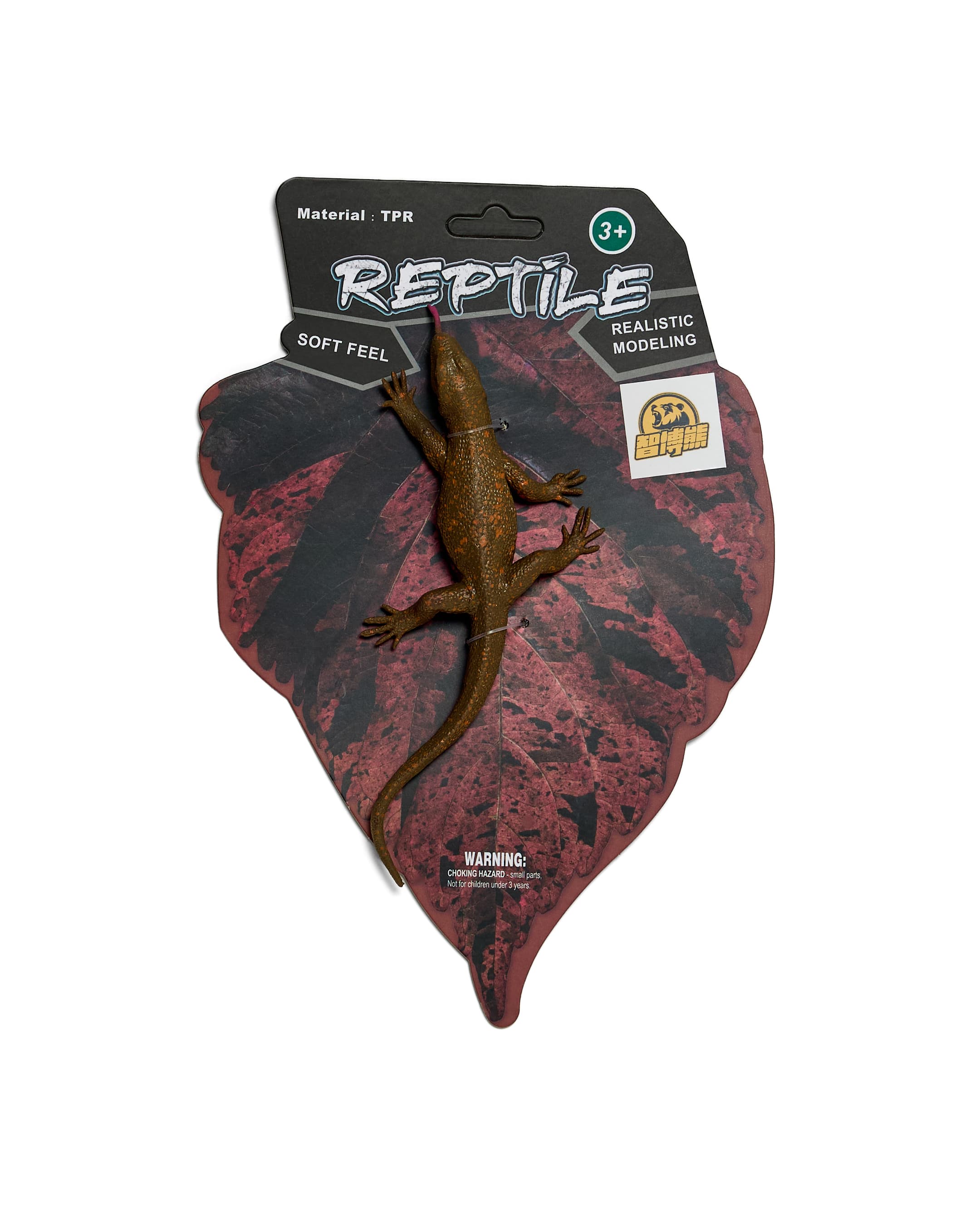 LIZARD thumbnail 5
