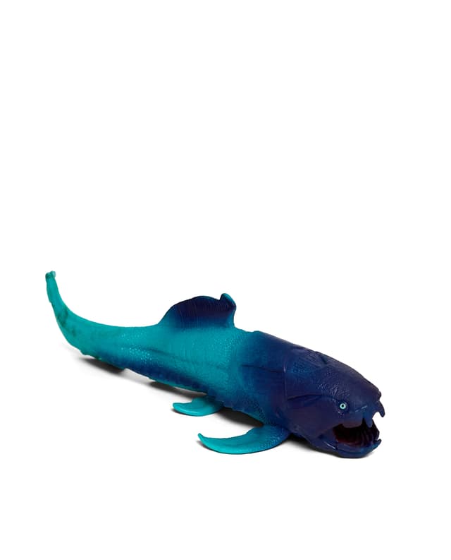 DUNKLEOSTEUS thumbnail 1