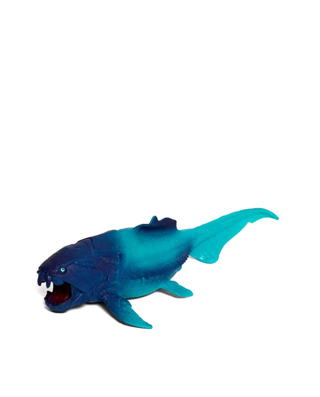 DUNKLEOSTEUS thumbnail 2