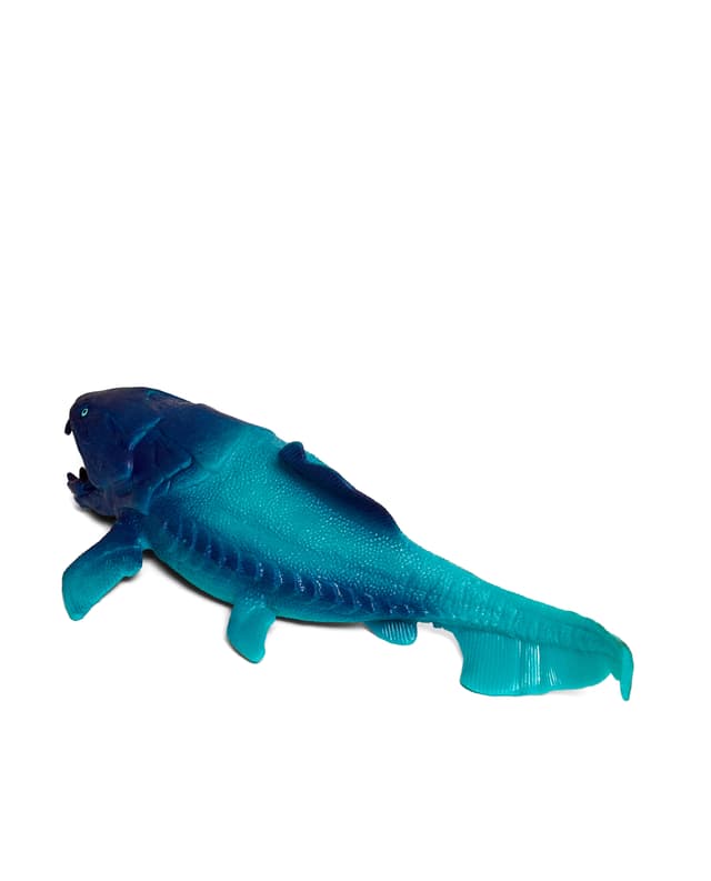 DUNKLEOSTEUS thumbnail 3