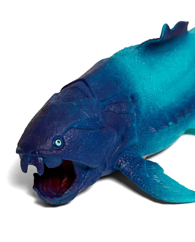 DUNKLEOSTEUS thumbnail 4