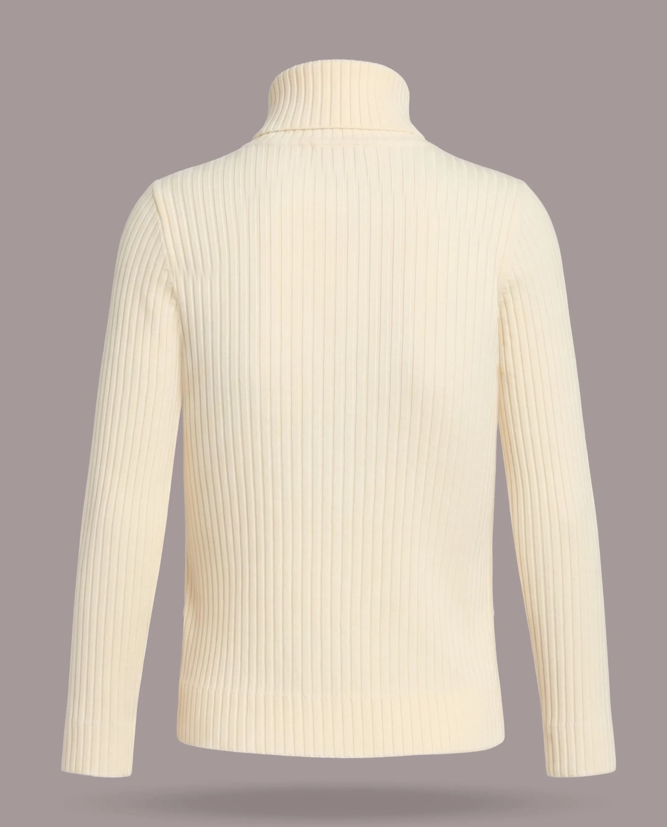 Ribbed High Neck Top