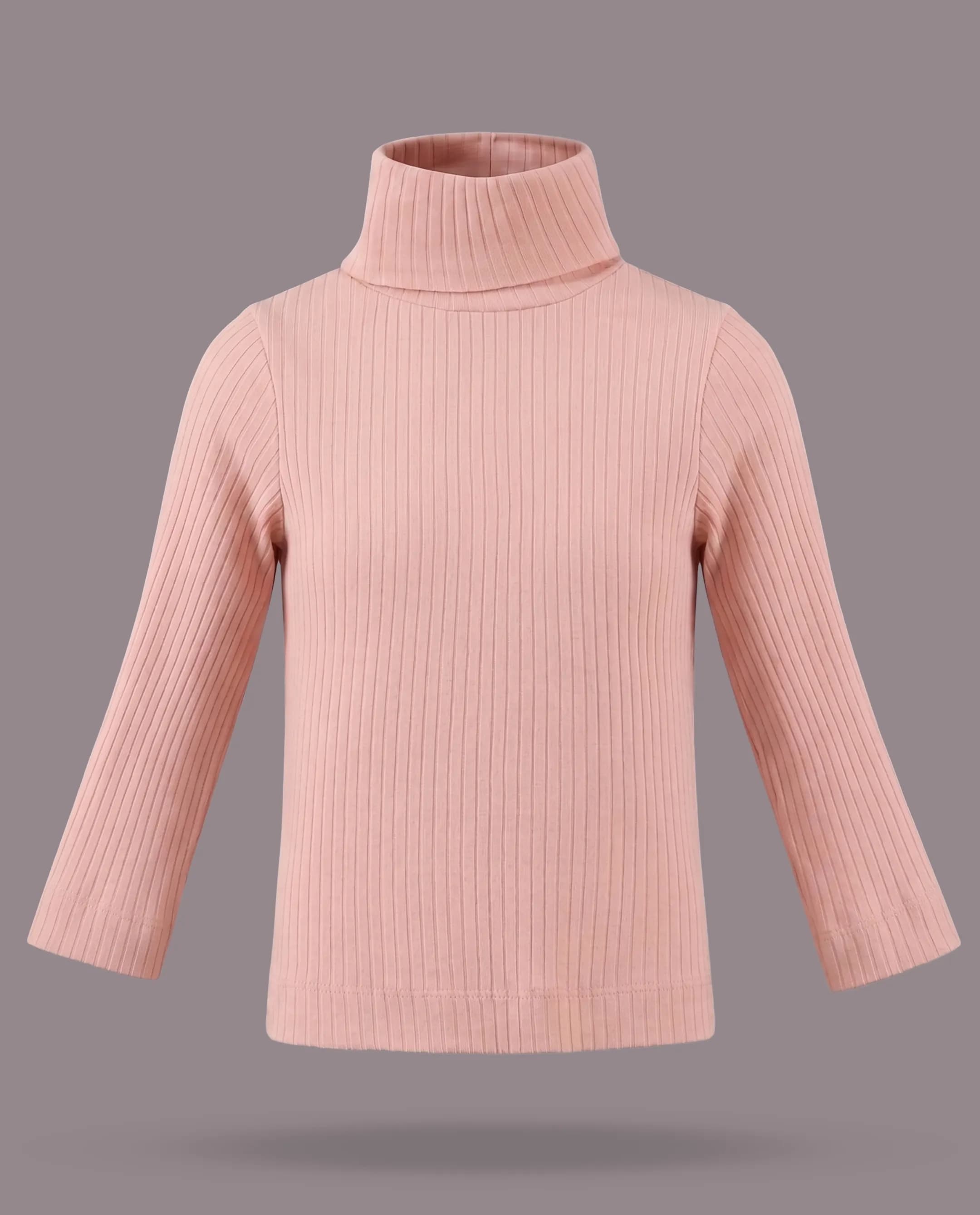 Ribbed High Neck Top