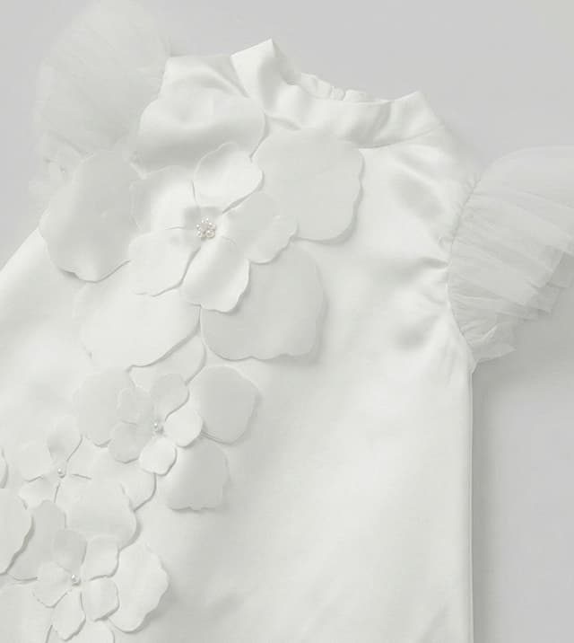 Appliqued Flutter Sleeves A-Line Dress thumbnail 4