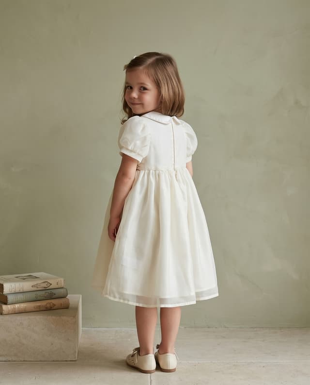 Short Sleeves Collar Dress thumbnail 2