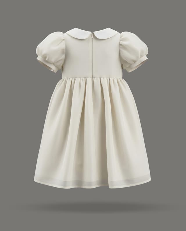 Short Sleeves Collar Dress thumbnail 4