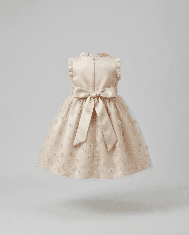Embroidered Mock Neck Sleeveless Dress thumbnail 3