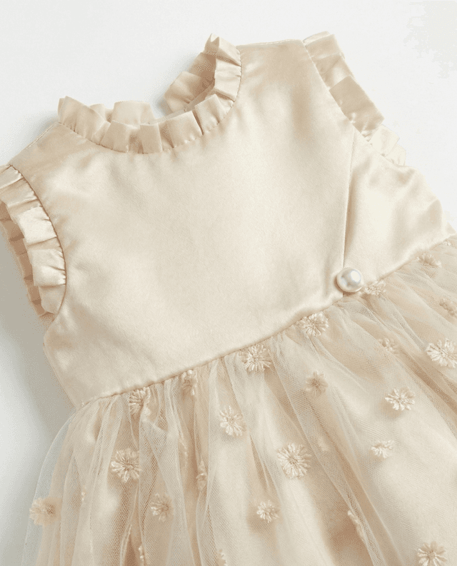Embroidered Mock Neck Sleeveless Dress thumbnail 5