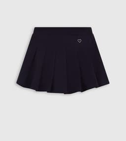 Embroidered Pleated A-Line Skirt