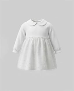 Mesh Detail Peter Pan Collar Mini Dress