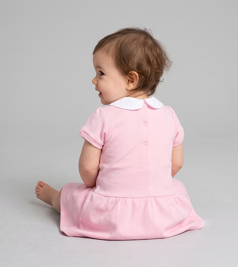 Embroidered Peter Pan Collar Mini Dress thumbnail 2