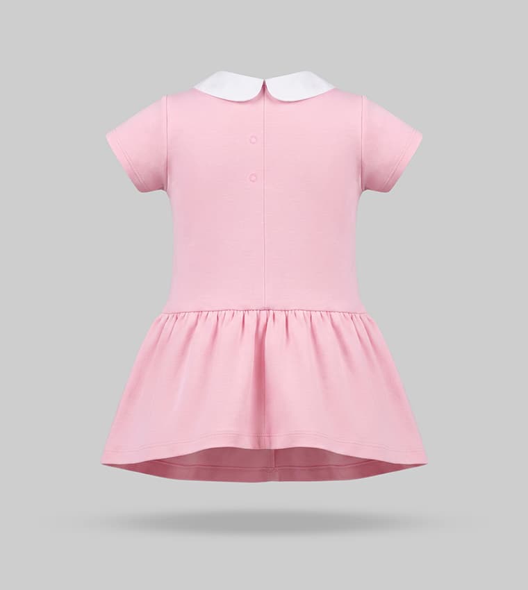 Embroidered Peter Pan Collar Mini Dress thumbnail 4