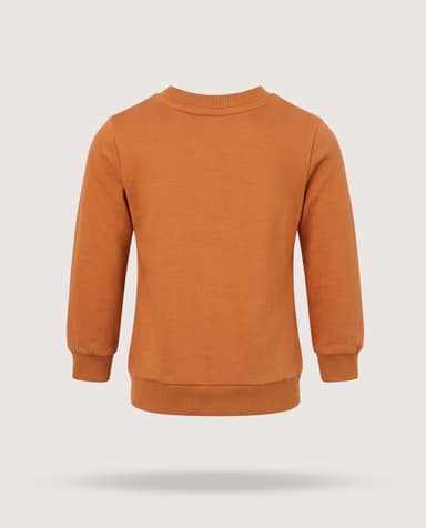 Sweat Tops - Long Sleeve Sweater Tops From Babies & more thumbnail 4